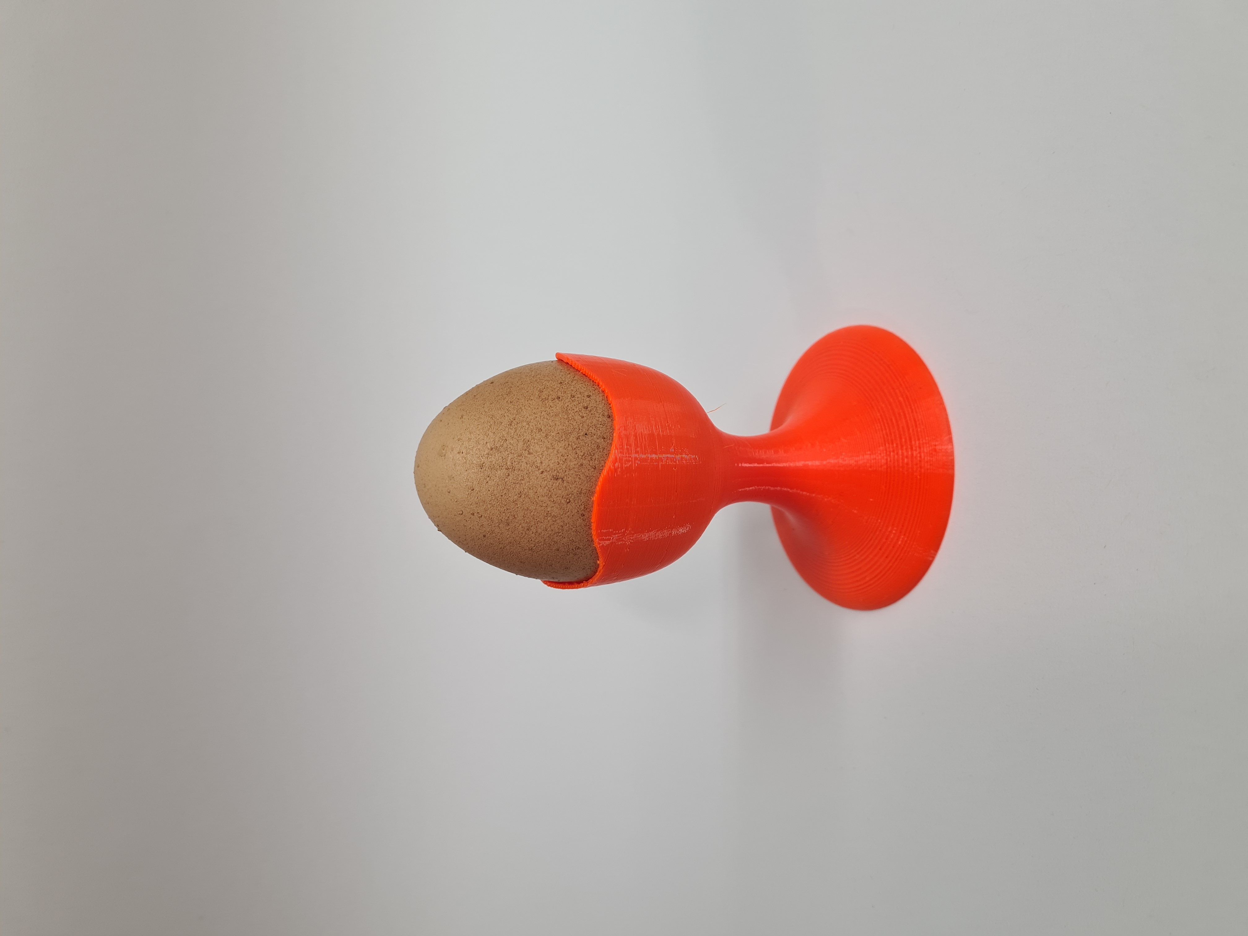 Egg Holder