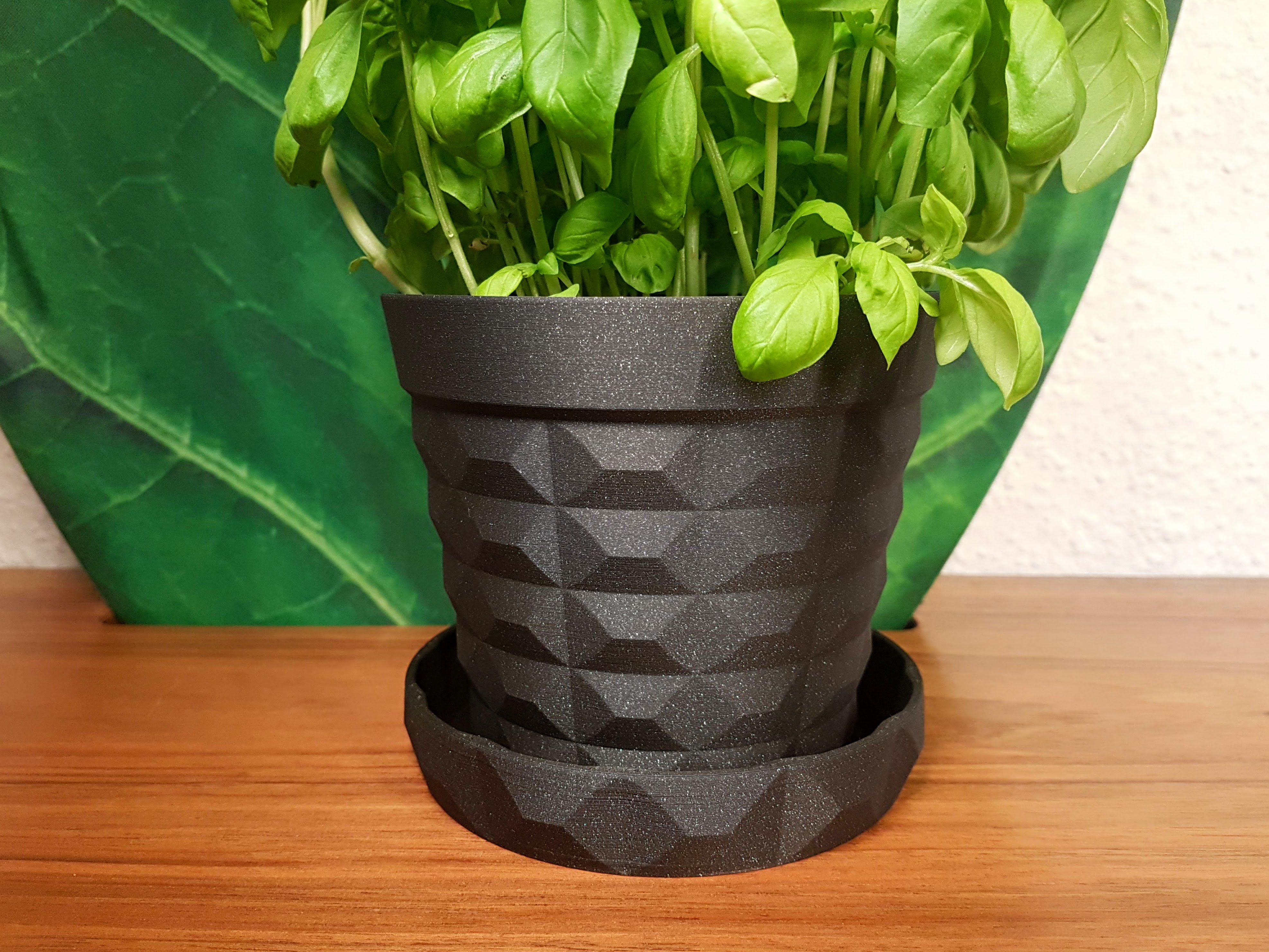 Flower Pot | Planter With Saucer