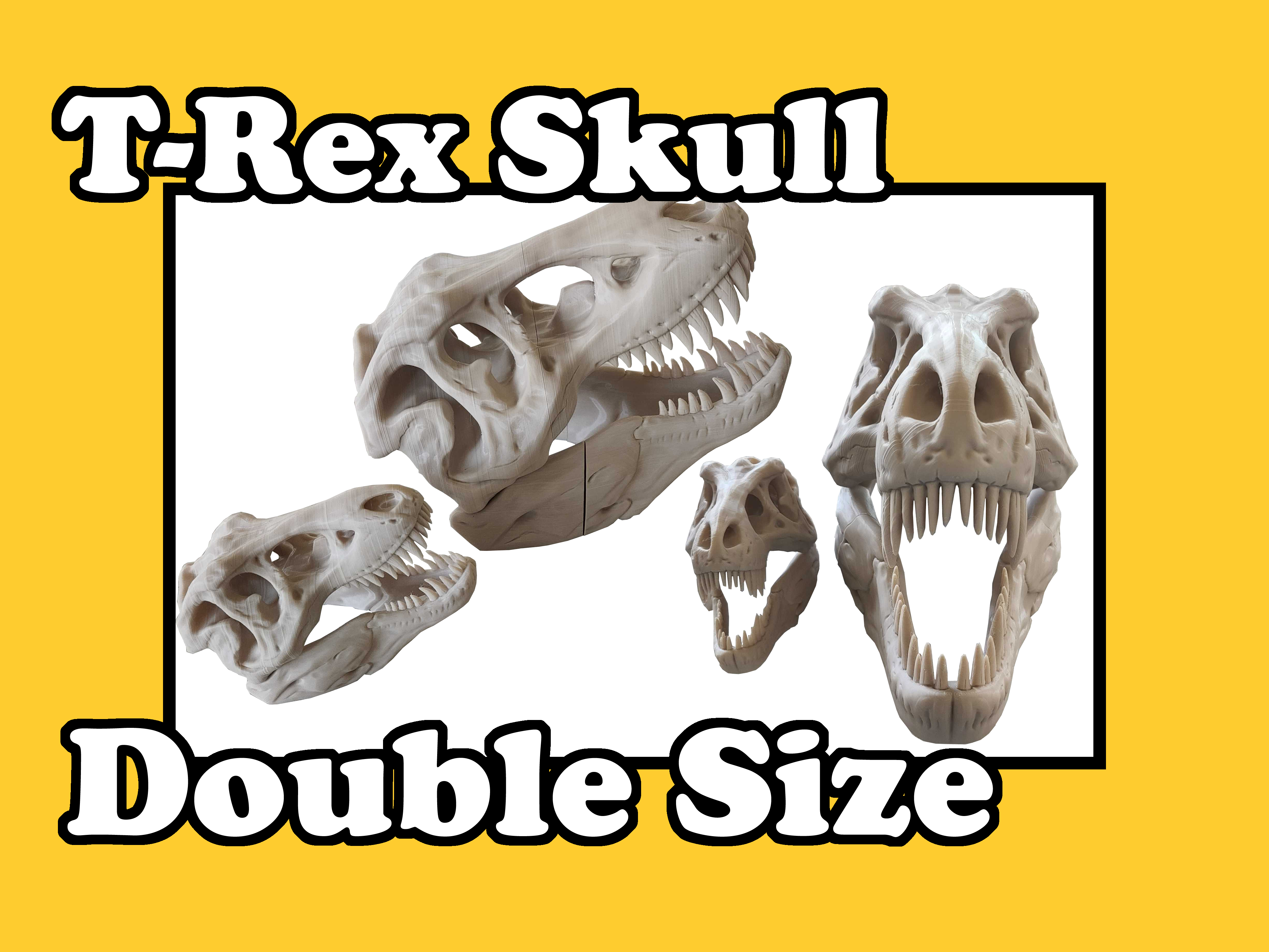 T-Rex Skull Double Size