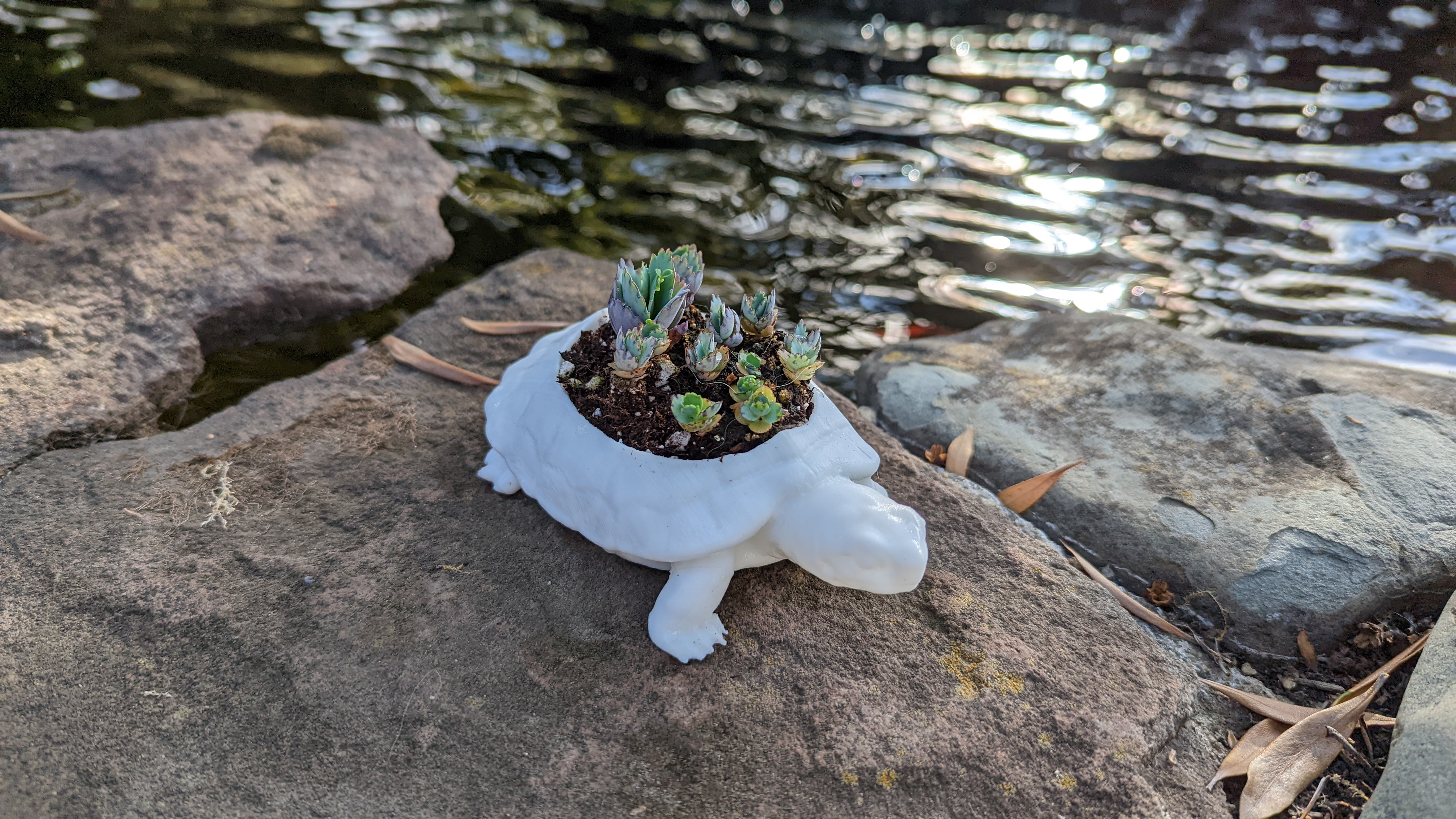 Turtle Planter Pot
