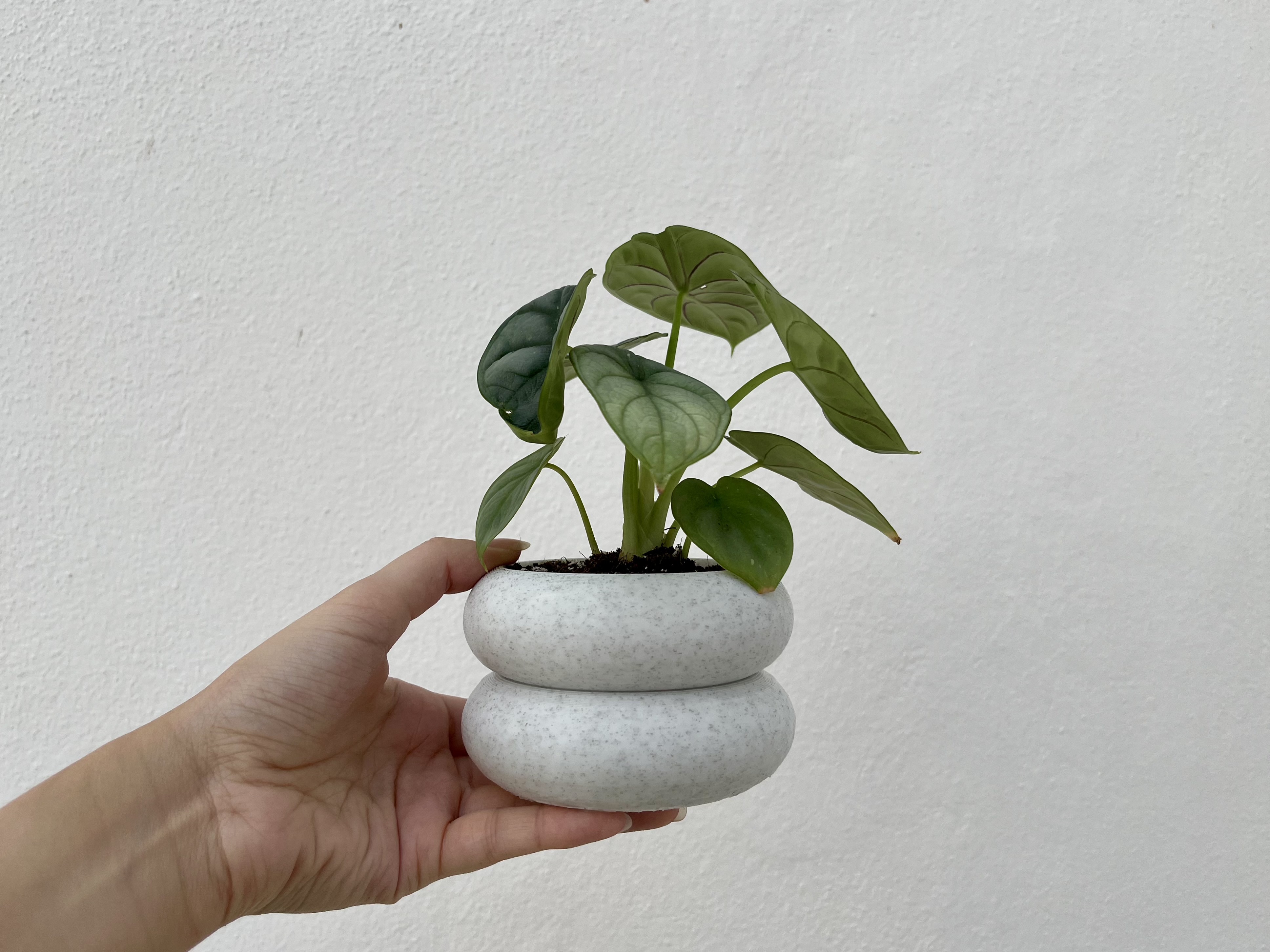 Double deck Plant Pot