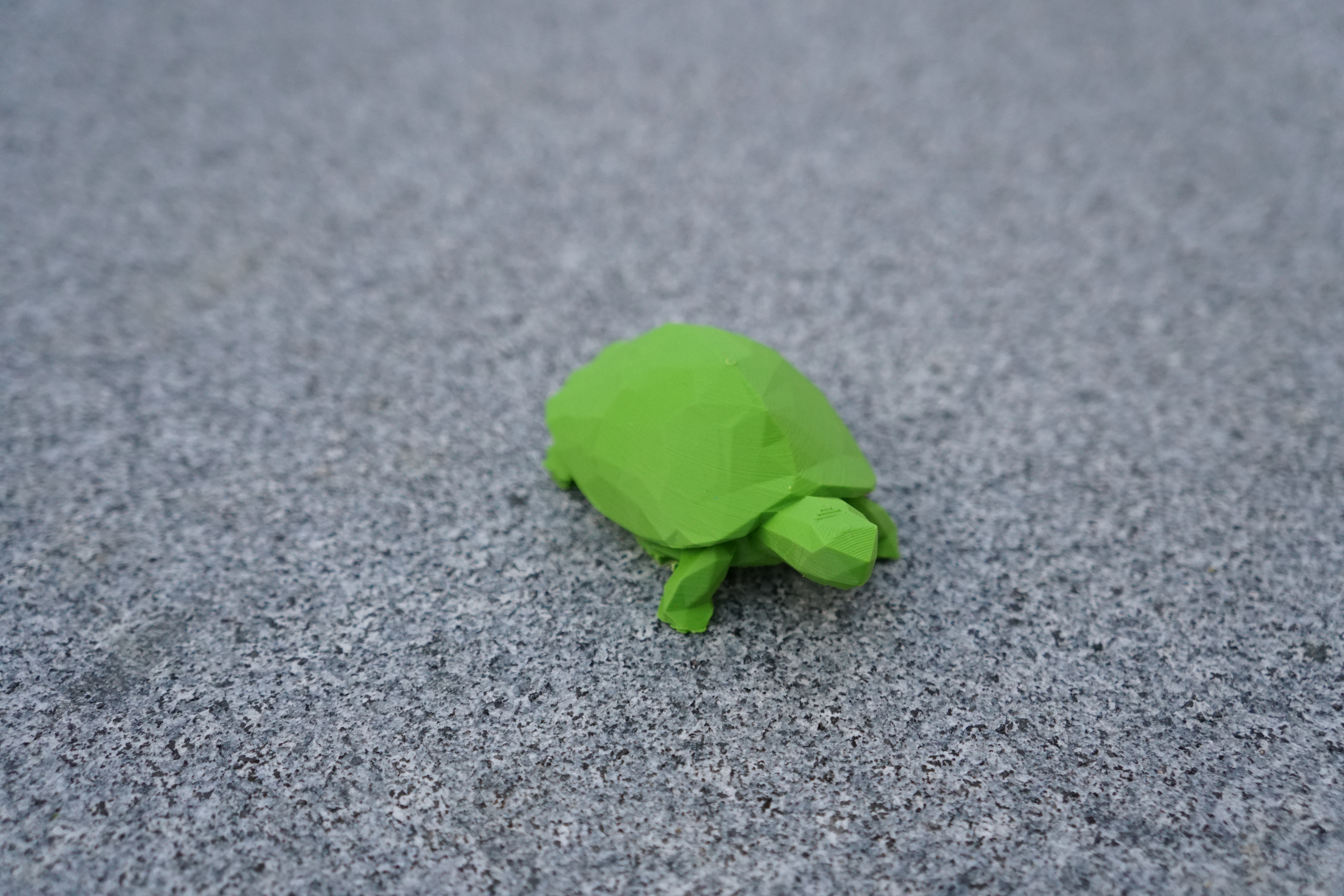 Low Poly SchildkrΓΆte