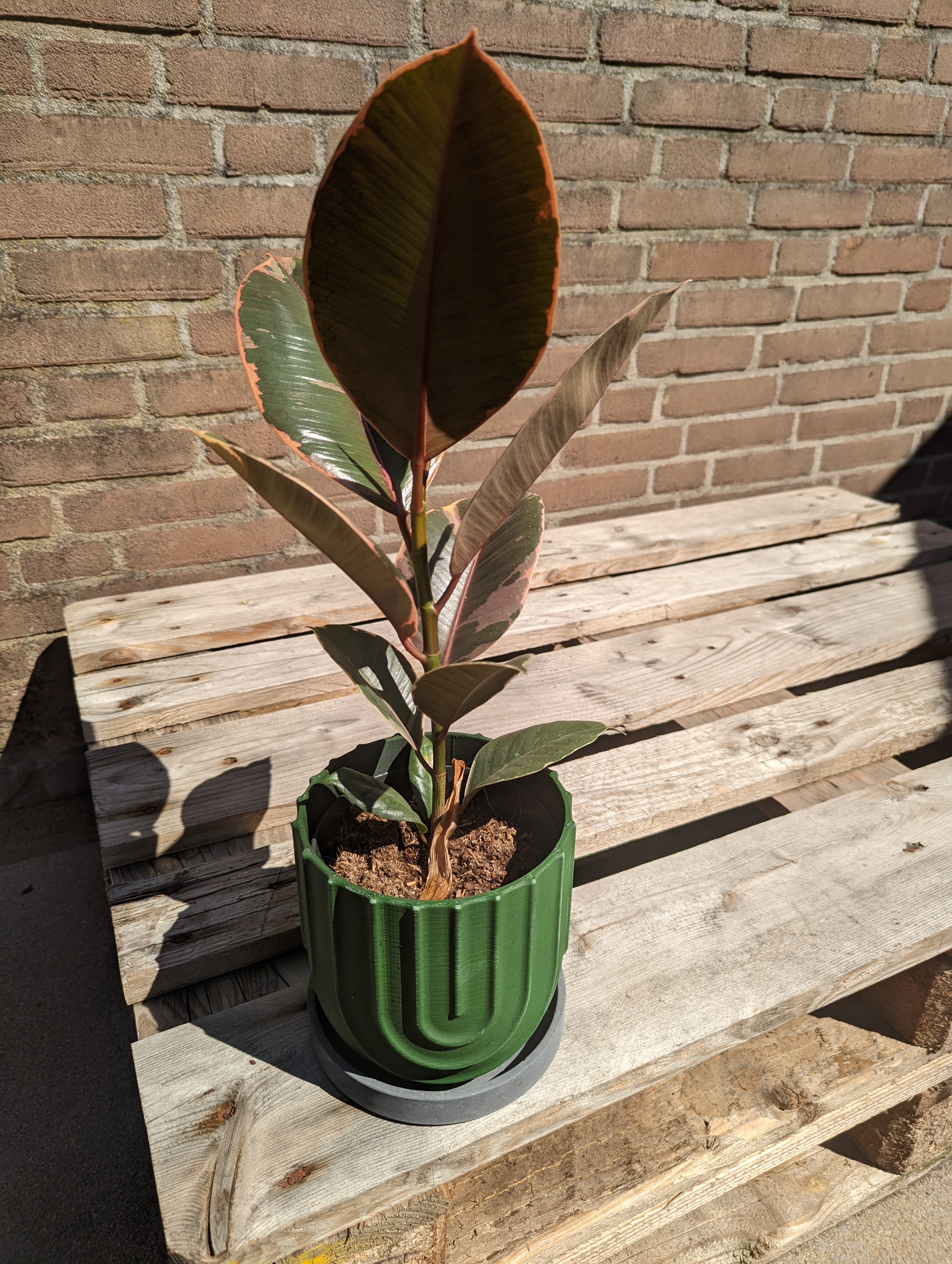 Plant pot