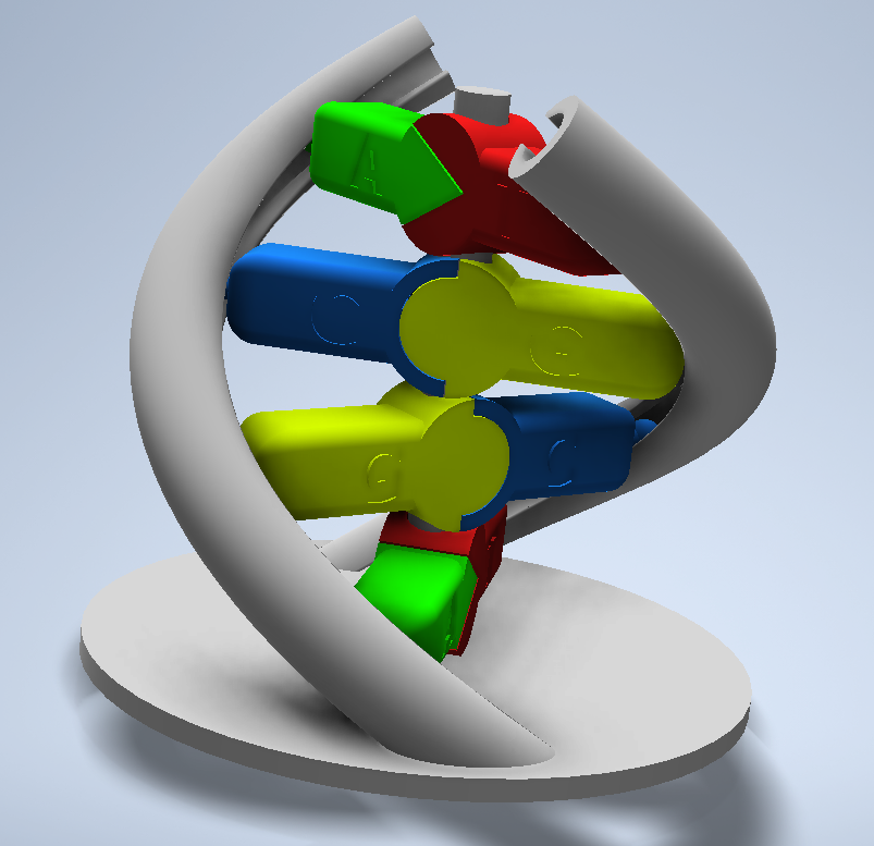 DNA helix