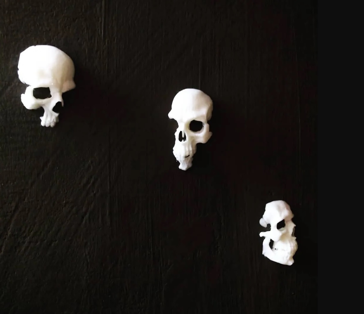 Skull wall ornament bonehead Hallowen
