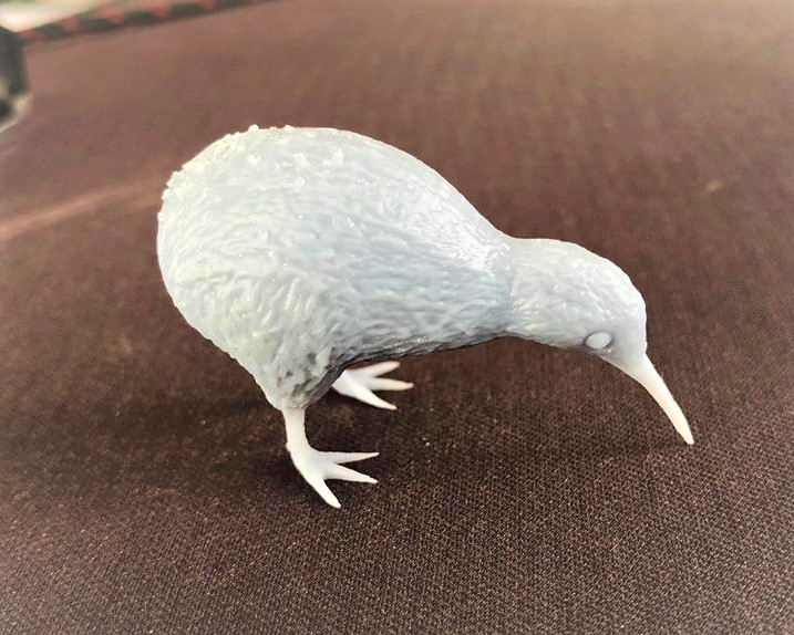 Kiwi Bird!