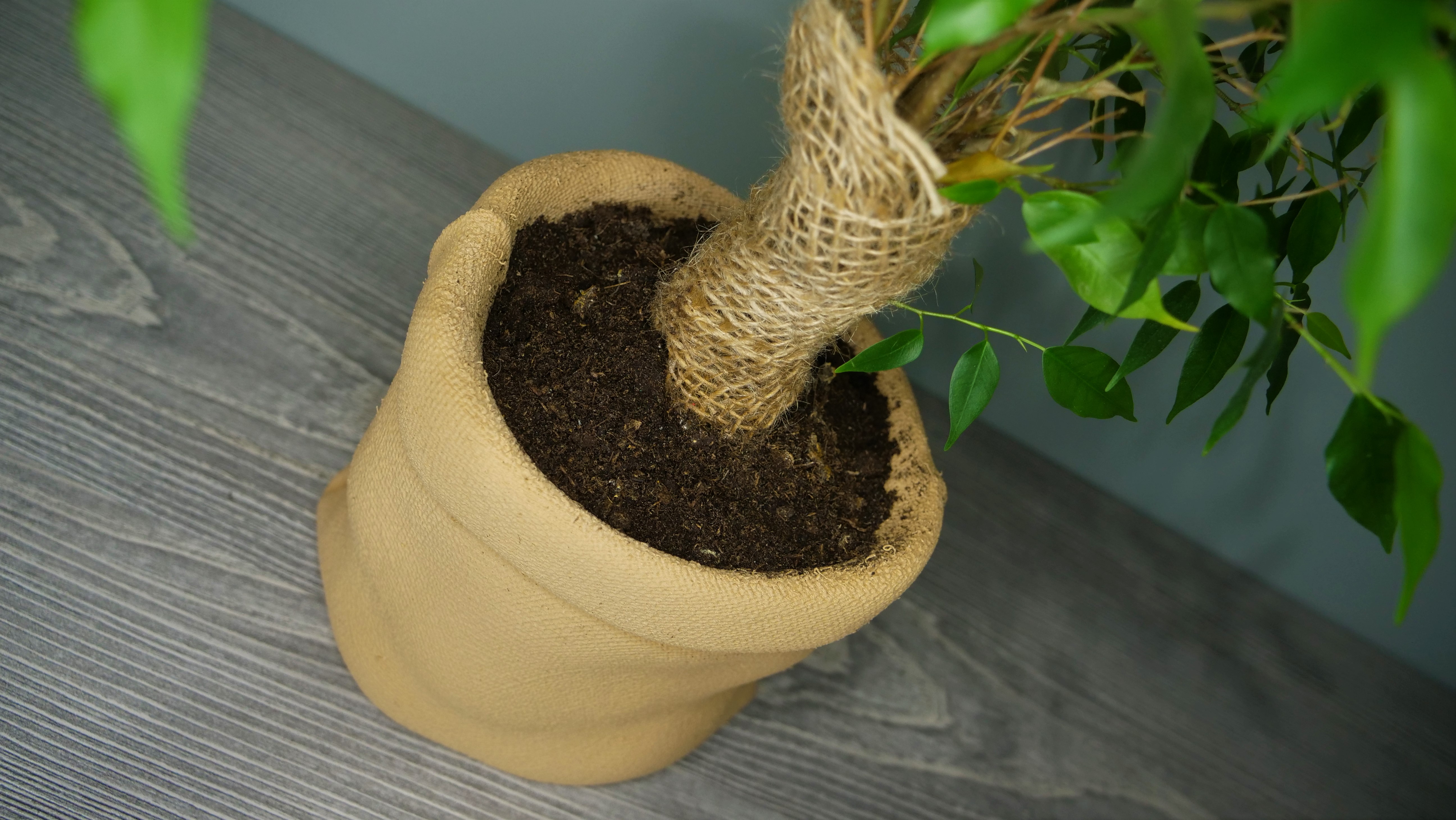 Burlap Sack Planter