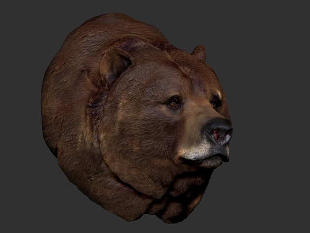 Grizzly Bear bust