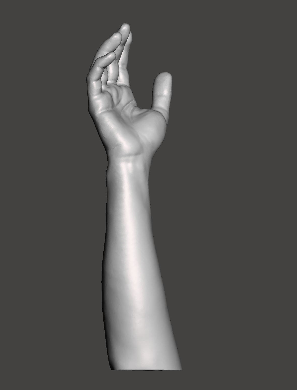 Hand and forearm natural position (Scan)