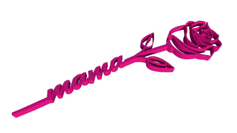 Rosa dΓa de la madre