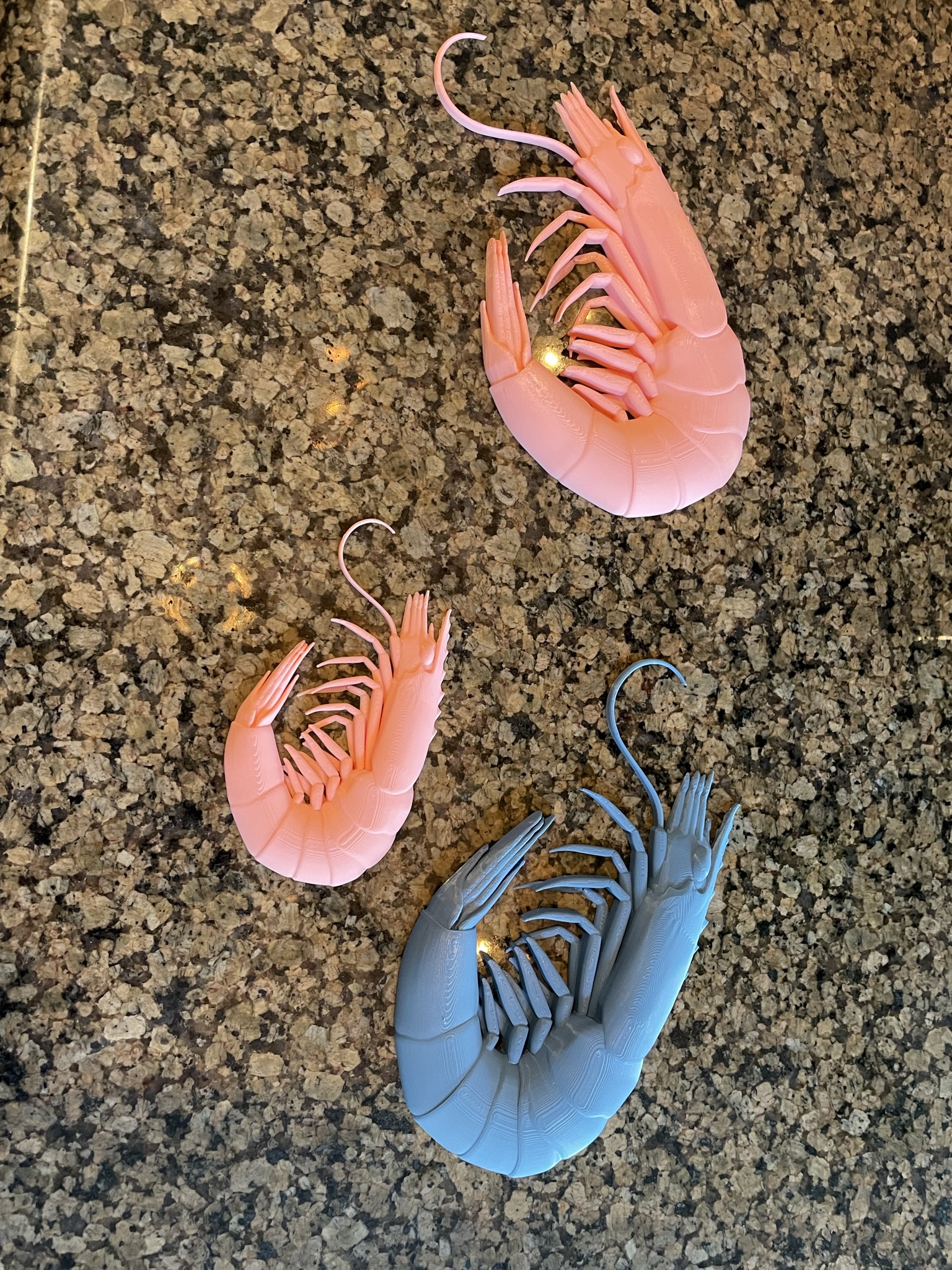 Shrimp