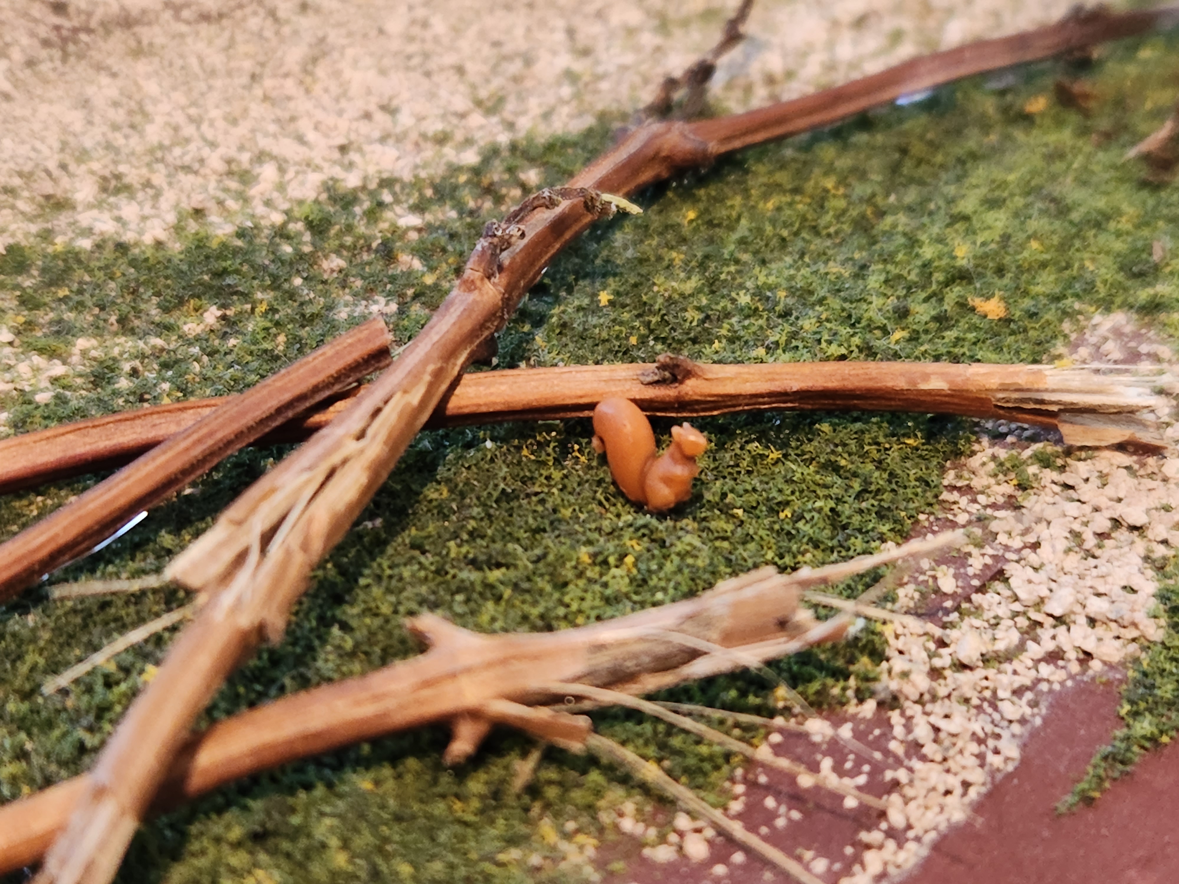 HO Scale Squirrel