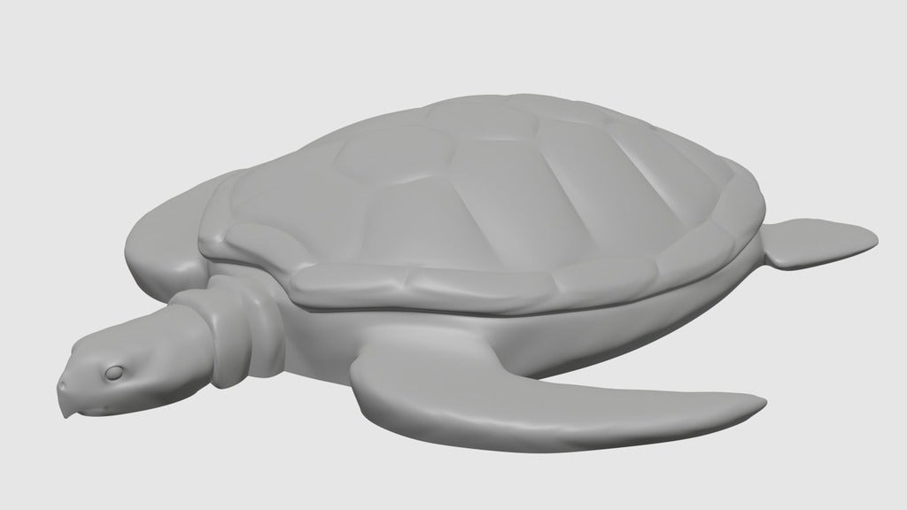 Sea Turtle
