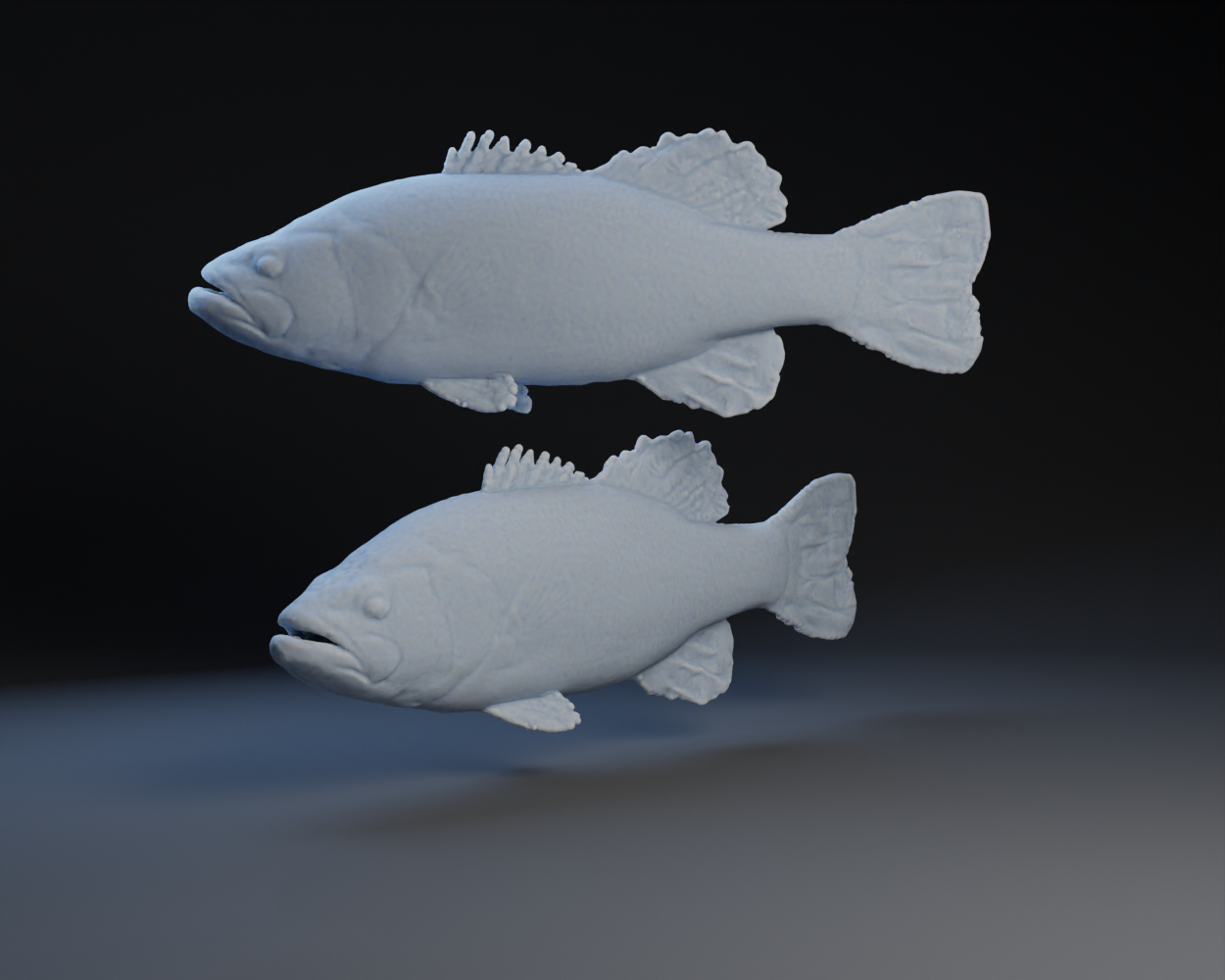 Large Mouth Bass