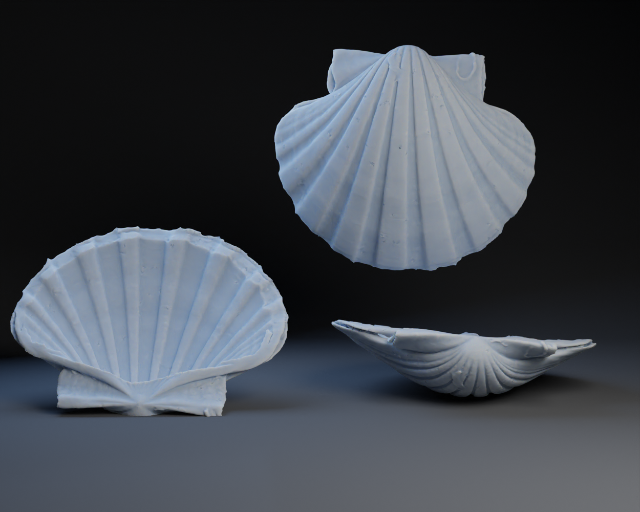 Shell Tray