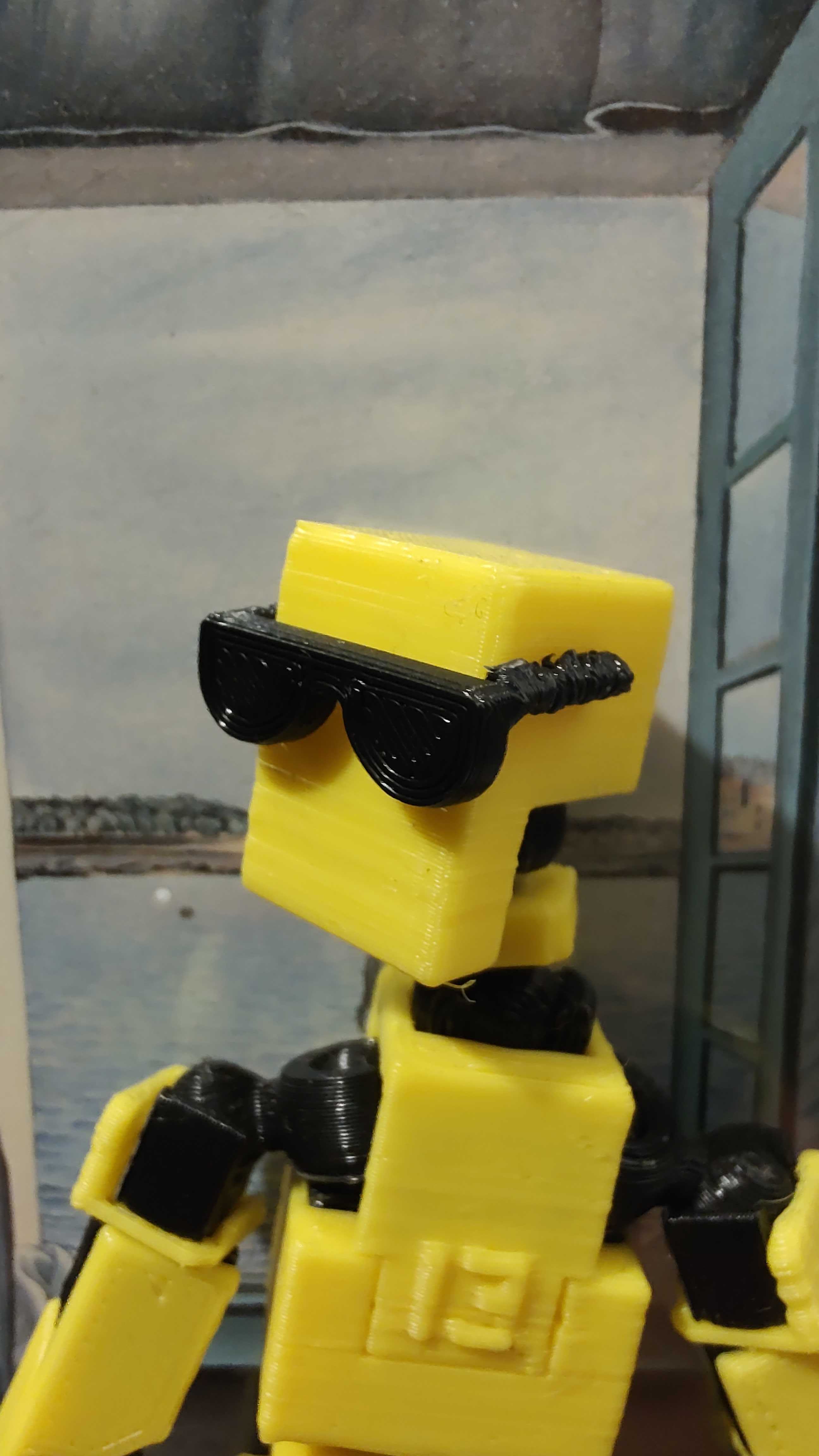 Lucky 13/Mini 13 Sunglasses