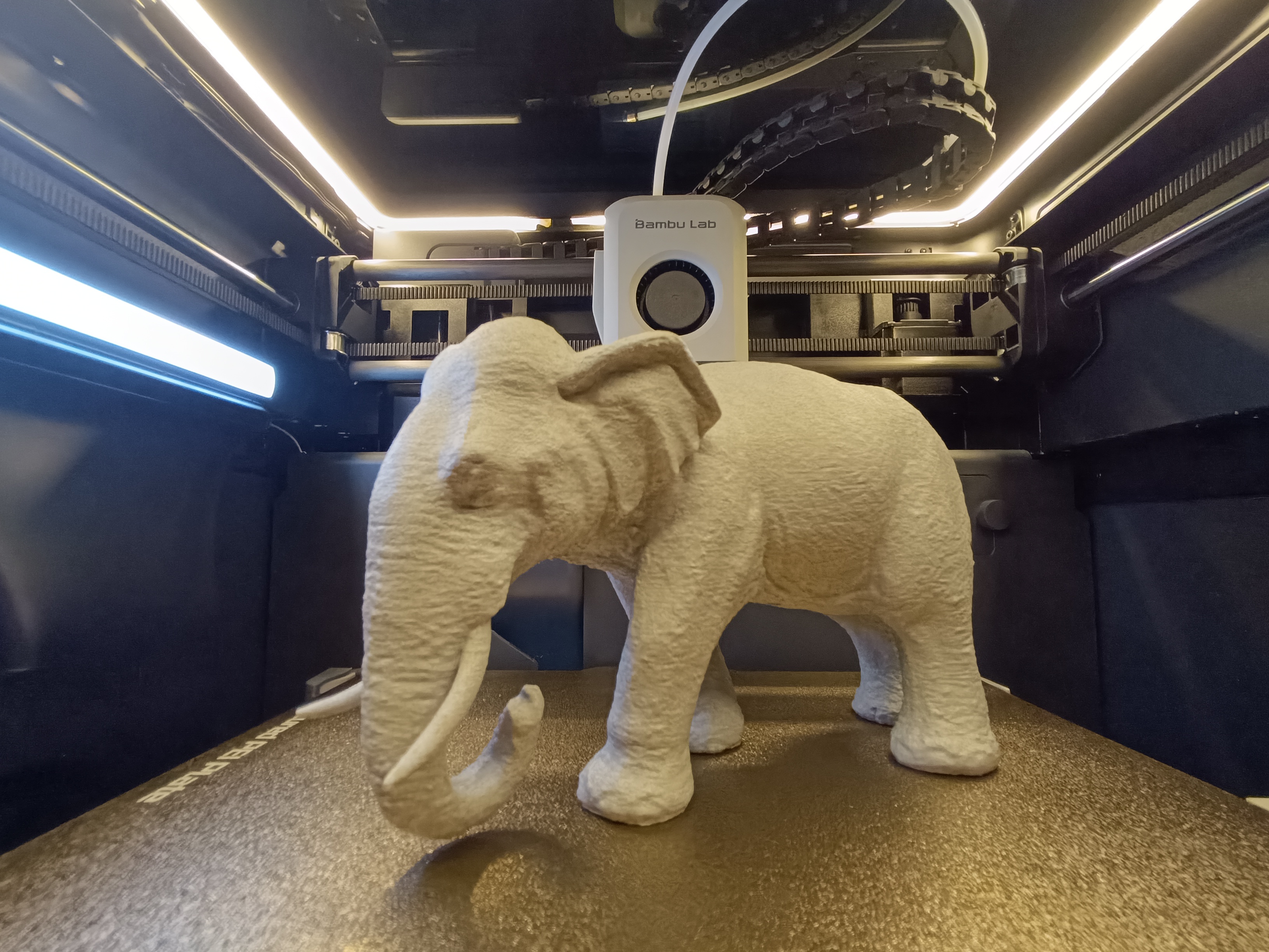 Elephant