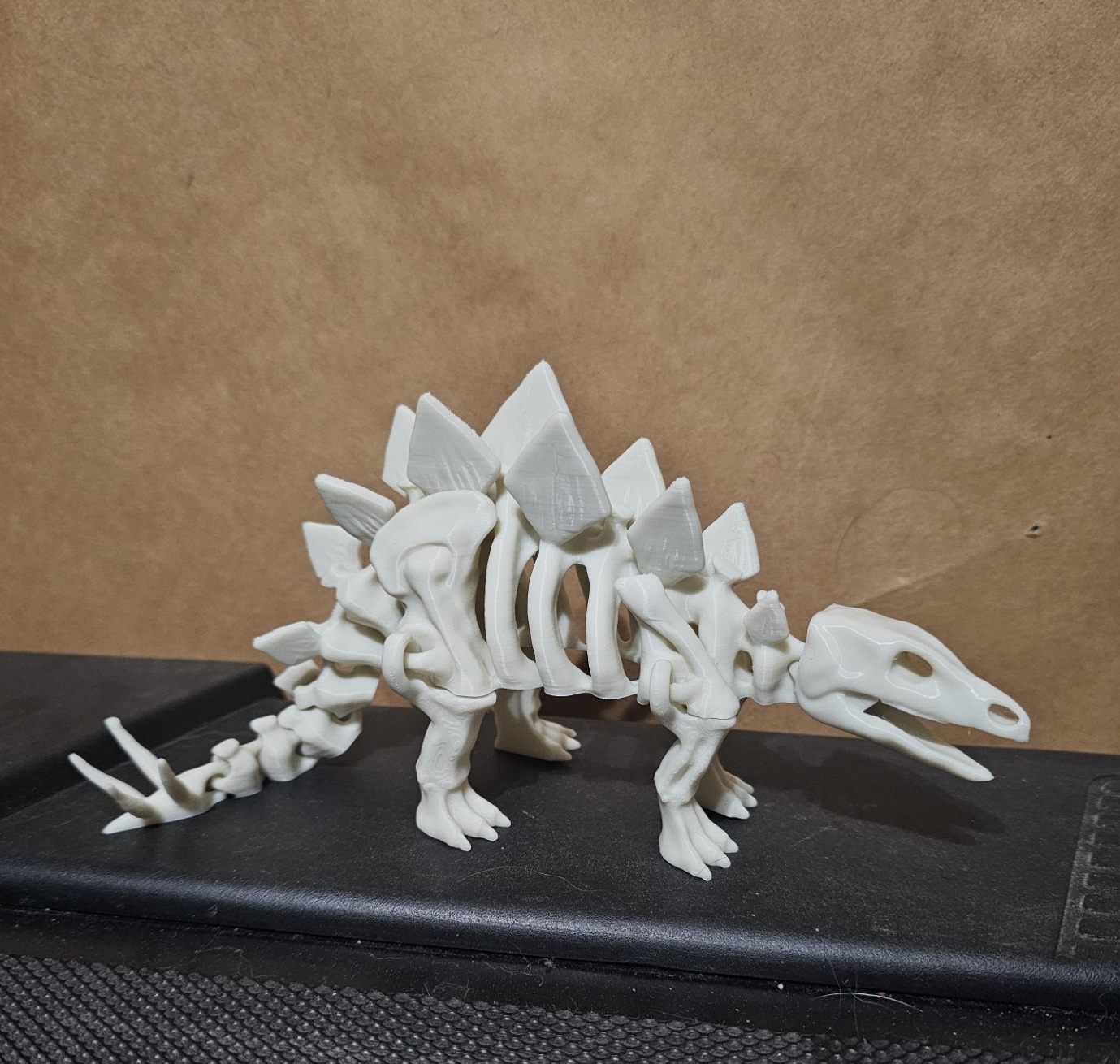 Articulated dinosaur skeleton 3