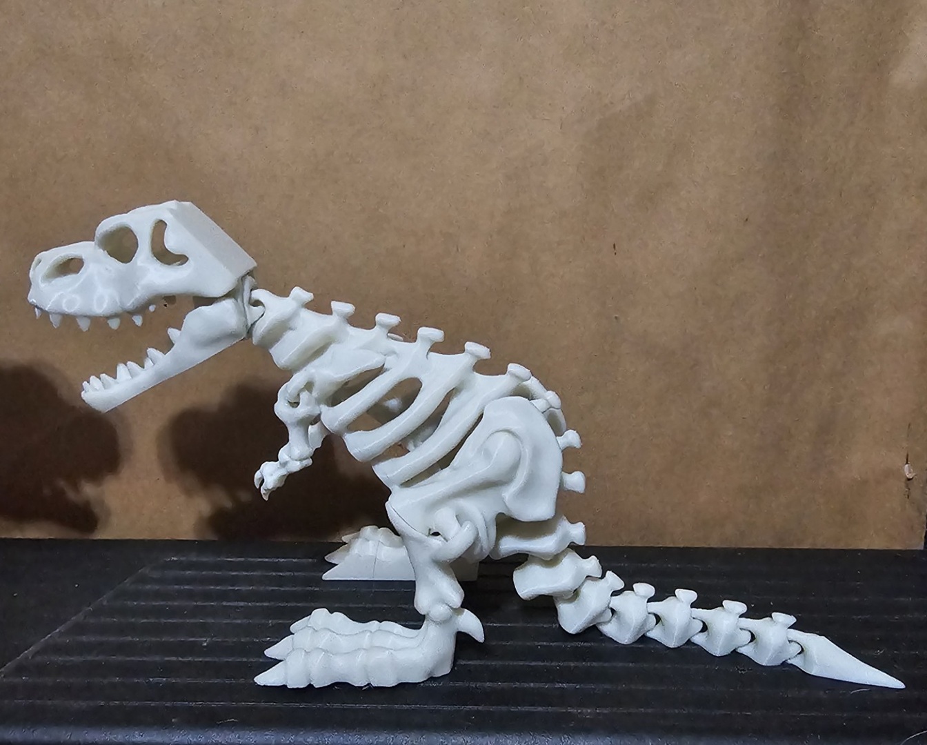 Articulated dinosaur skeleton
