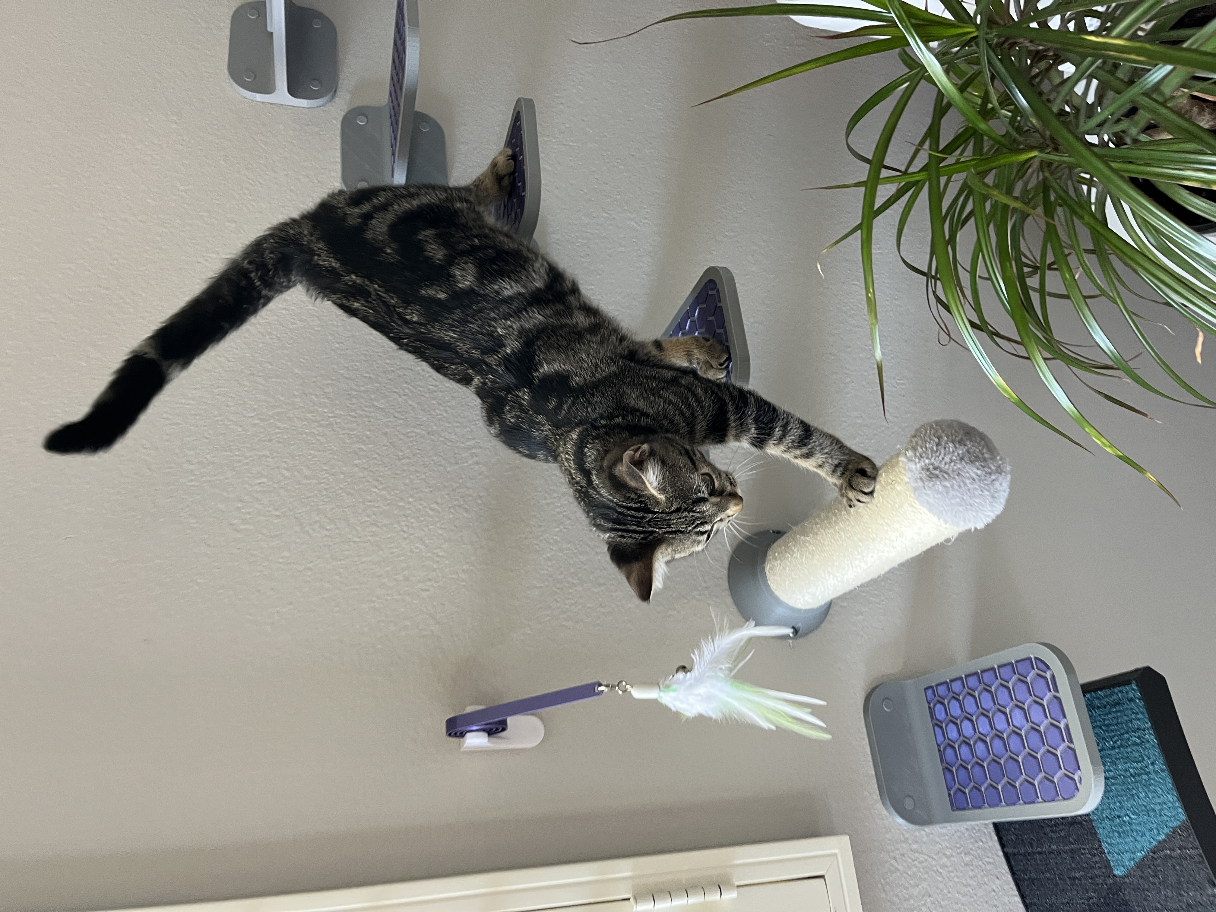 Wall Mounted Cat Step (3 variations)