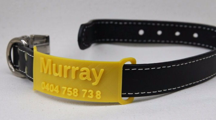 Pet Collar Tag