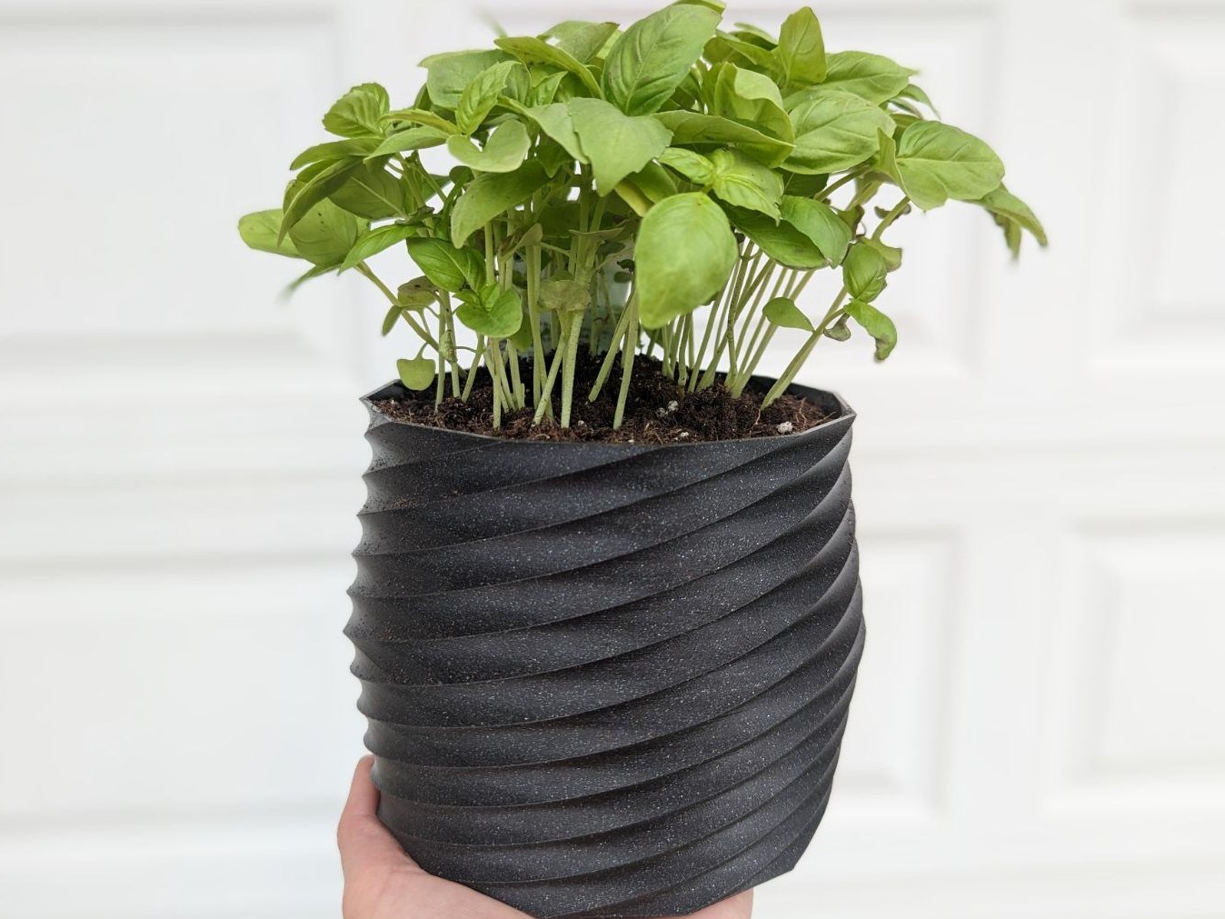 Flower Pot