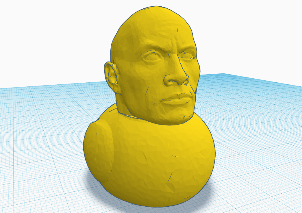 Duck Rock