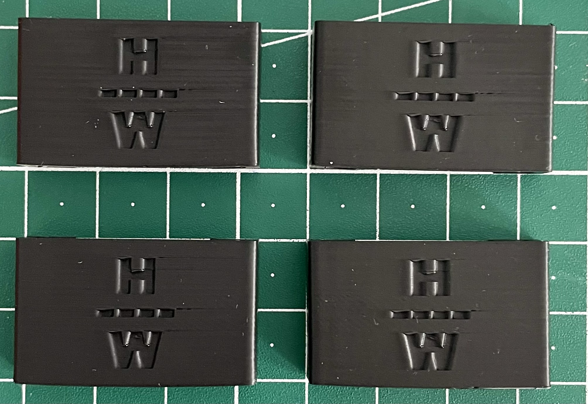Haix XR1 nameplate customizable