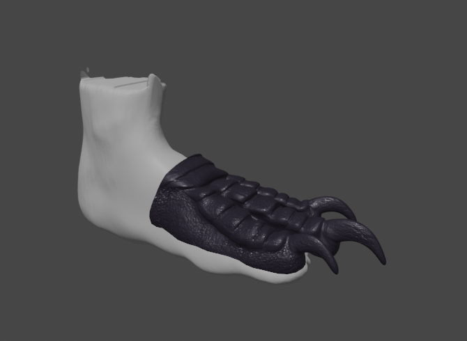 Wearable bird feet