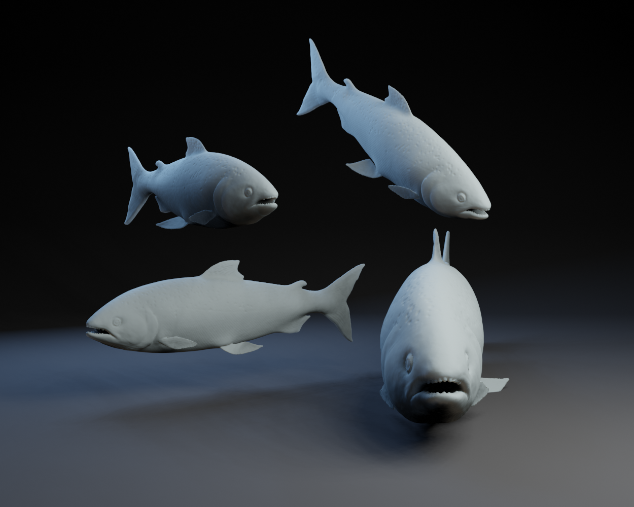 Fishy Fishy Fishy Fish