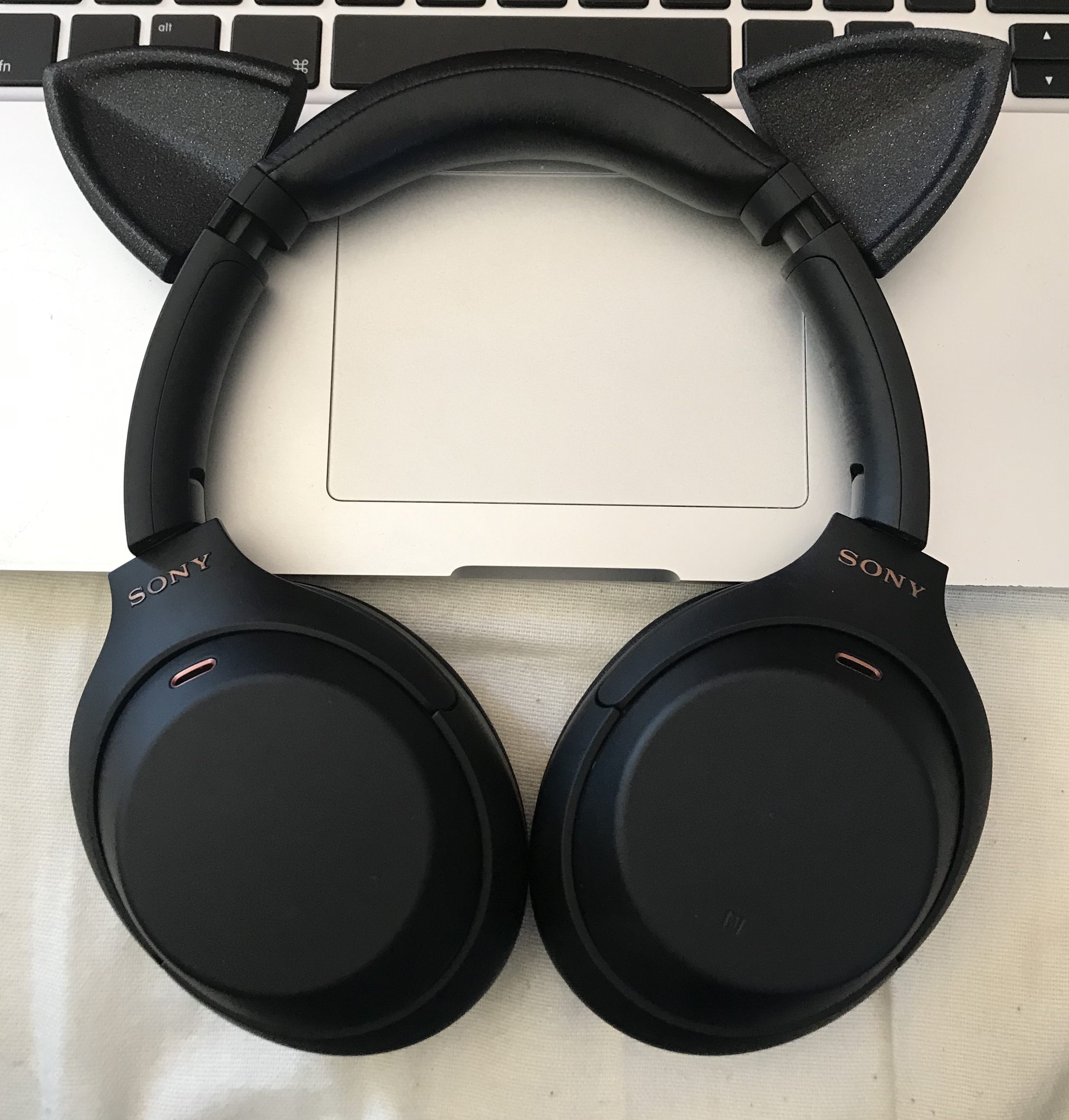 Cat Ears for Headphones