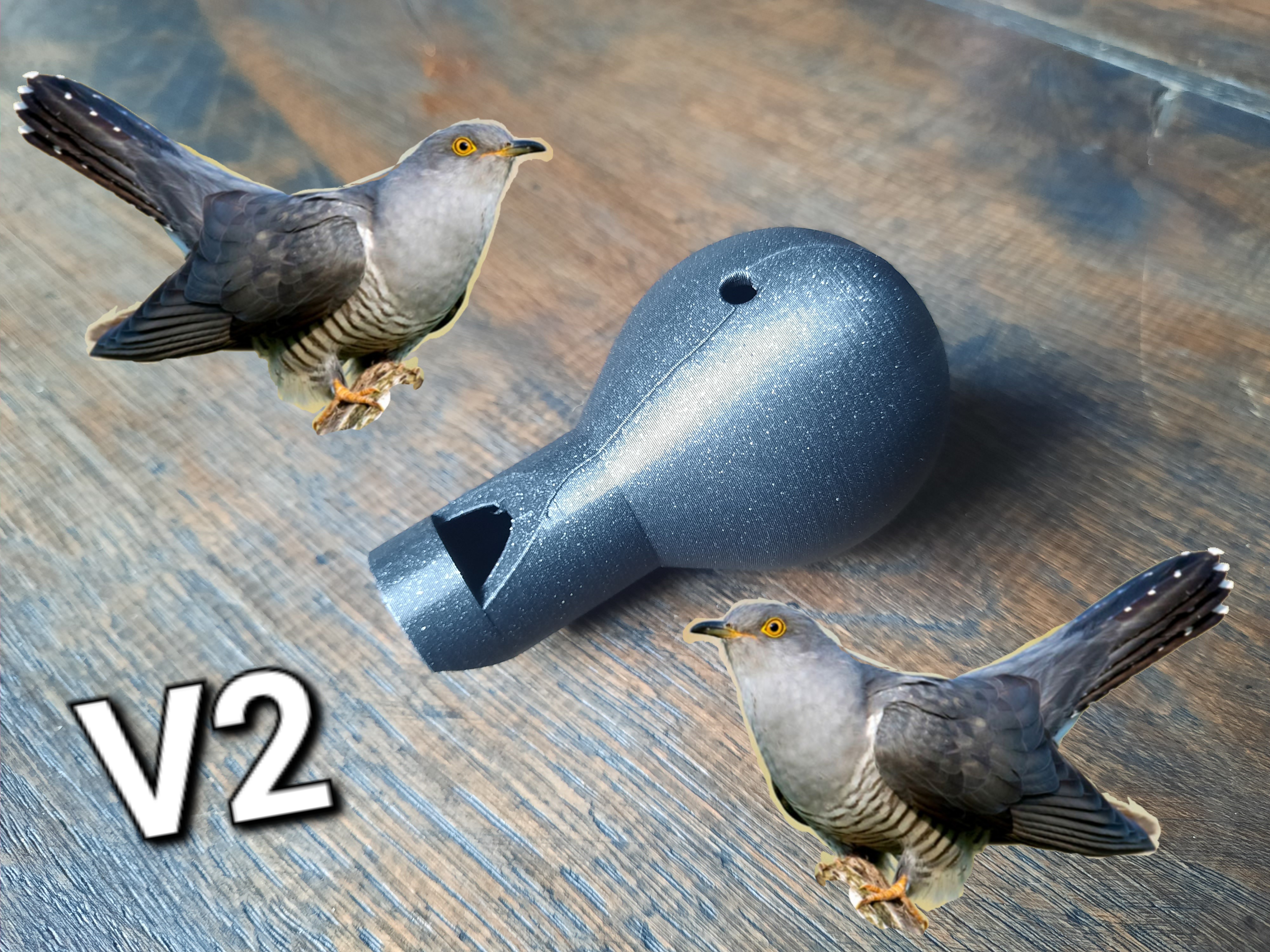 Cuckoo call v2