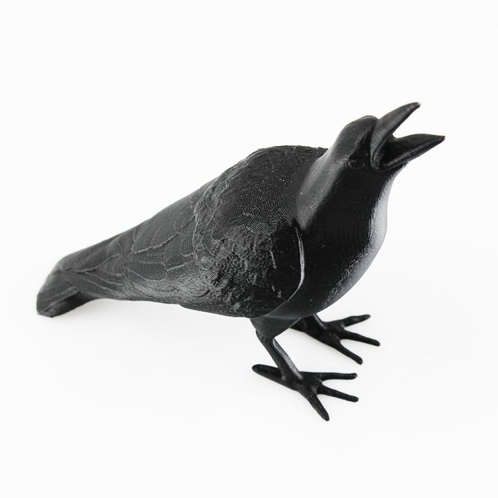 Support Free Crow