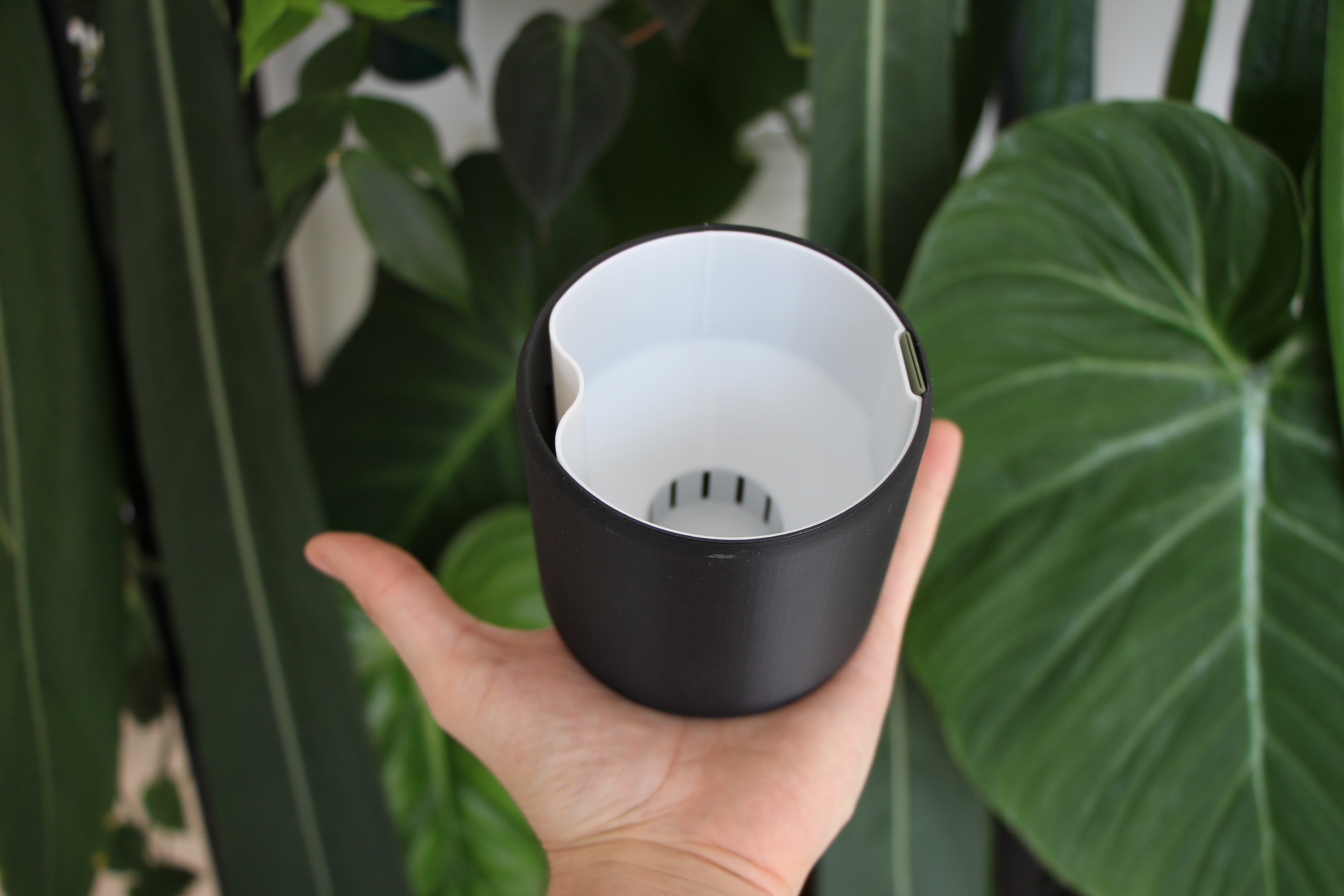 Self Watering Plant Pot