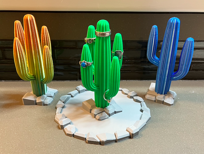 Saguaro Cactus with Rocky Base