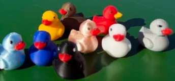 Mini Ducks!! - No Color