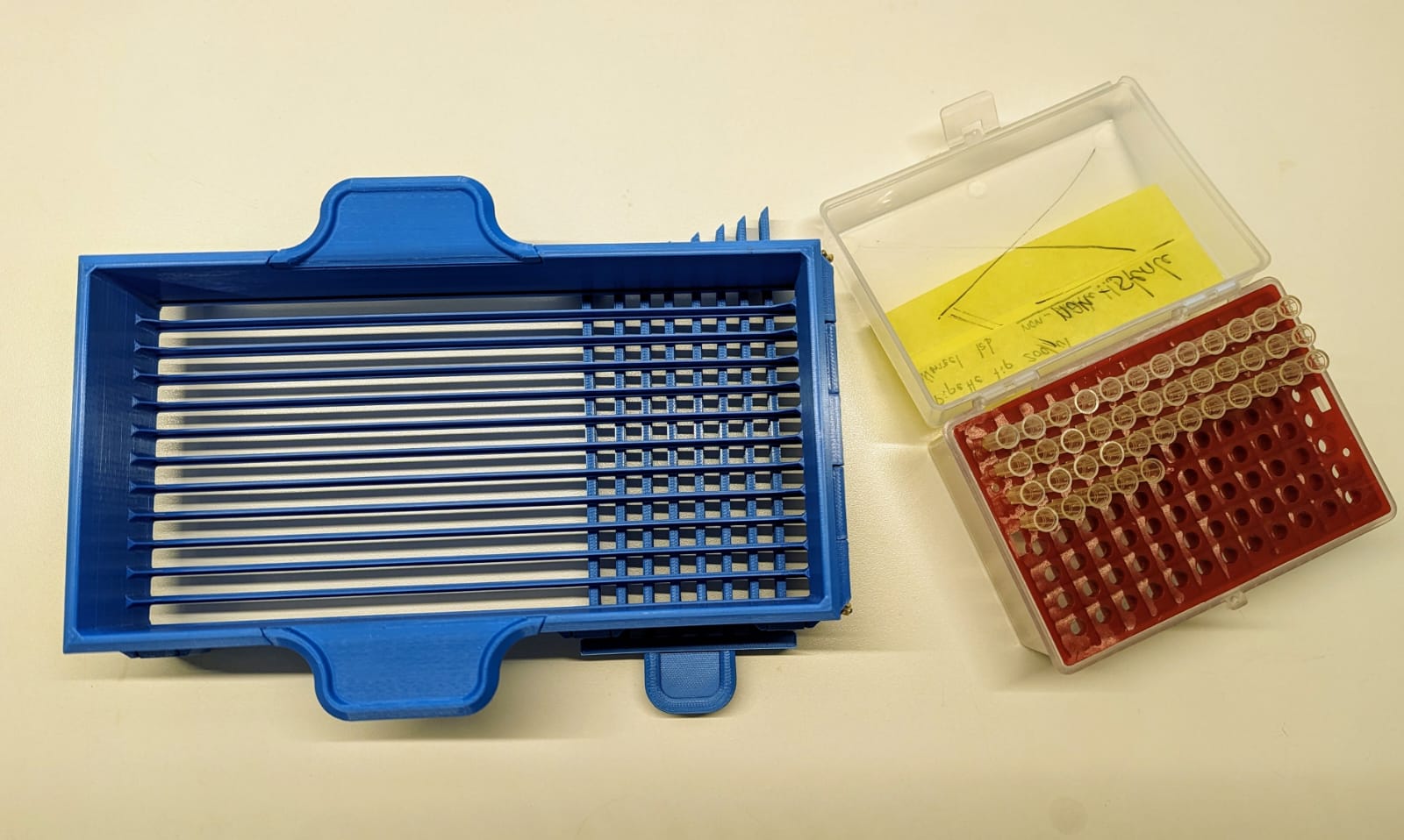 Pipette tip (200 Β΅L) sorting device
