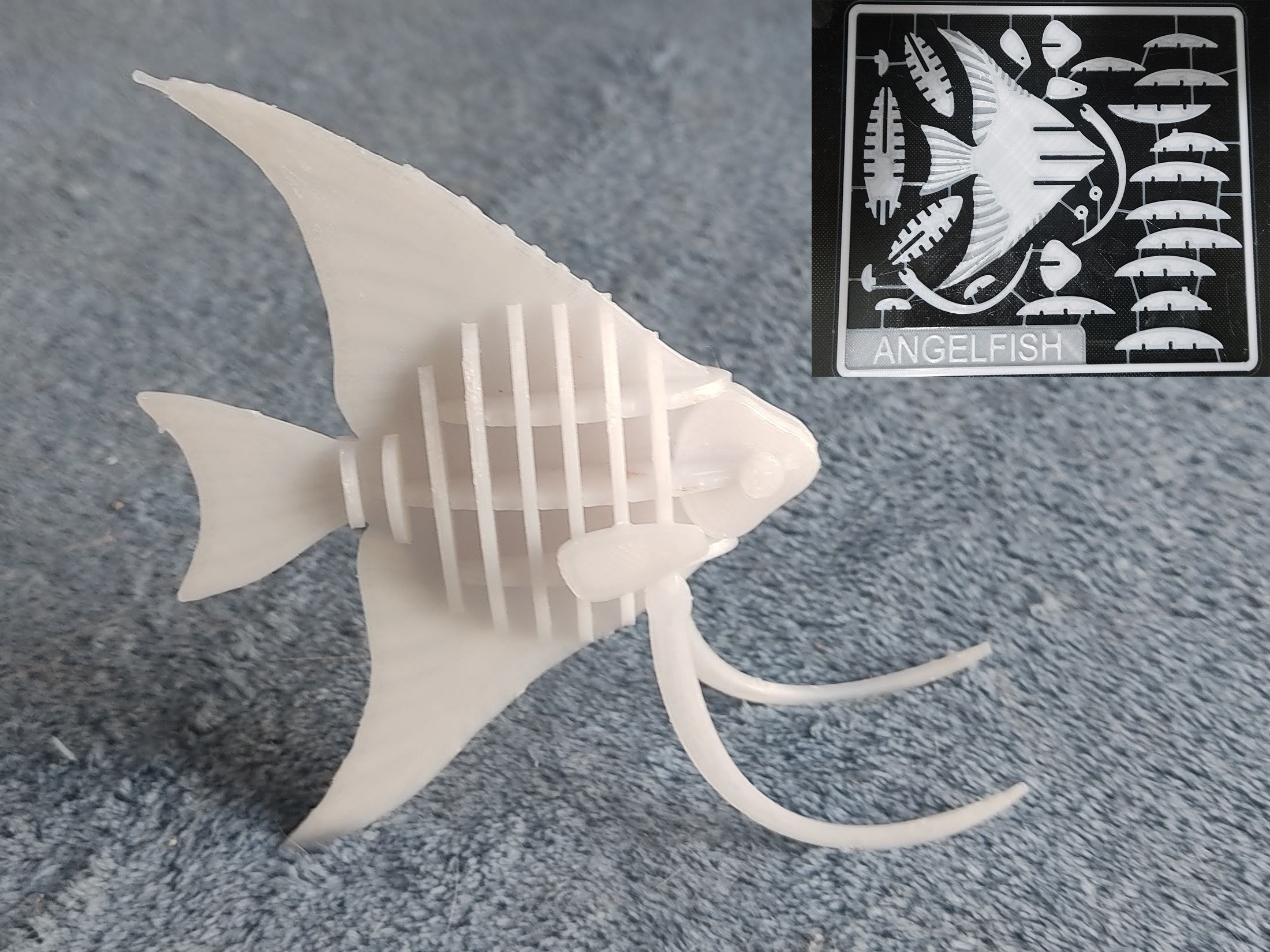 Angel fish kit card