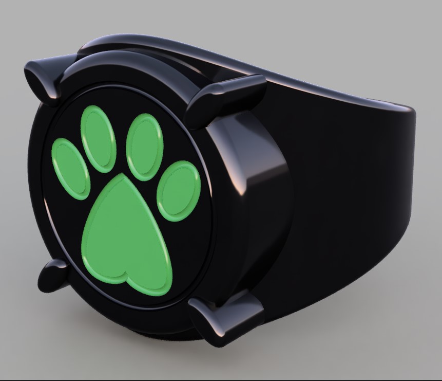 Chat Noir's Ring