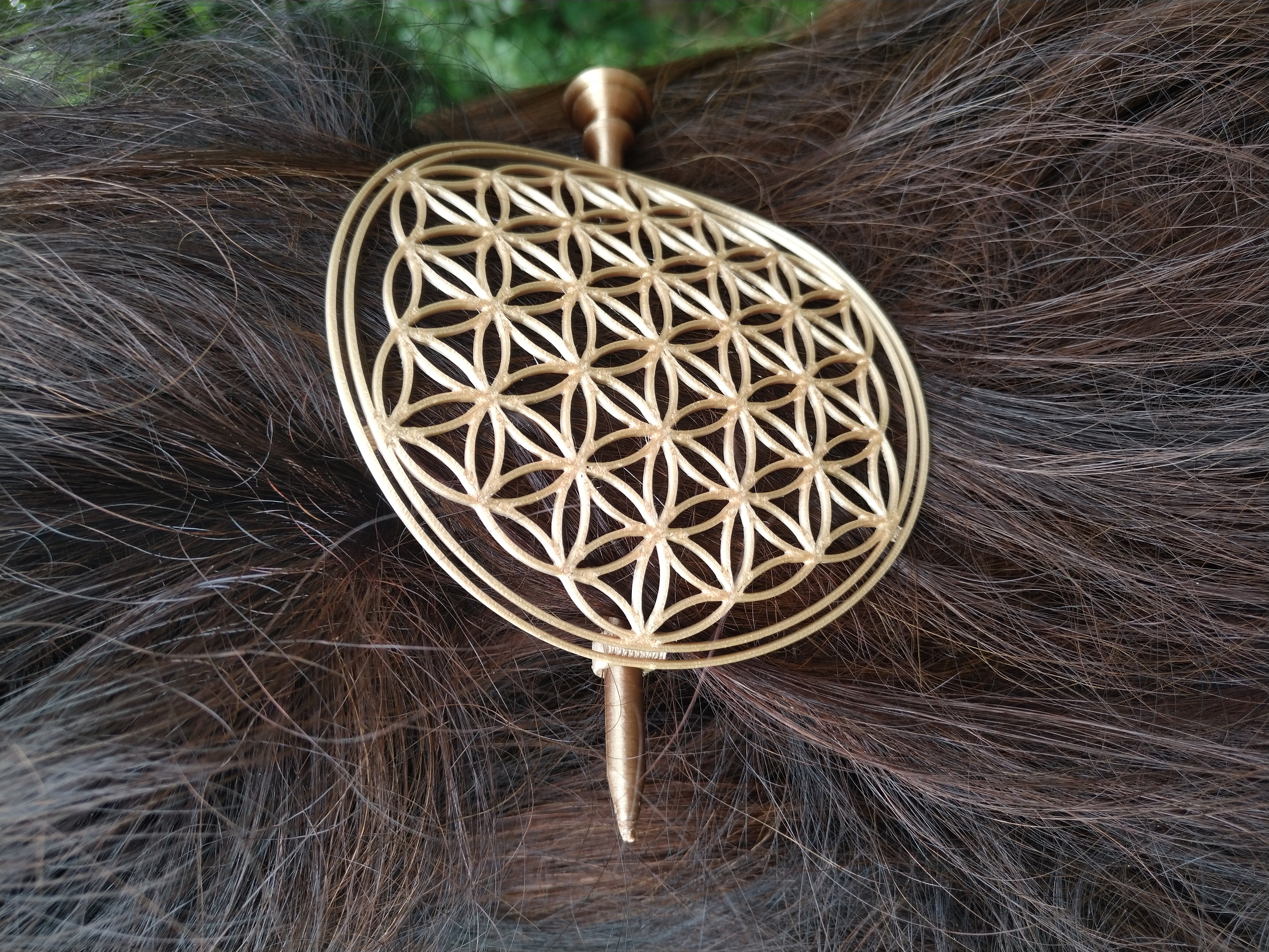 Flower of life , Kvet ΕΎivota