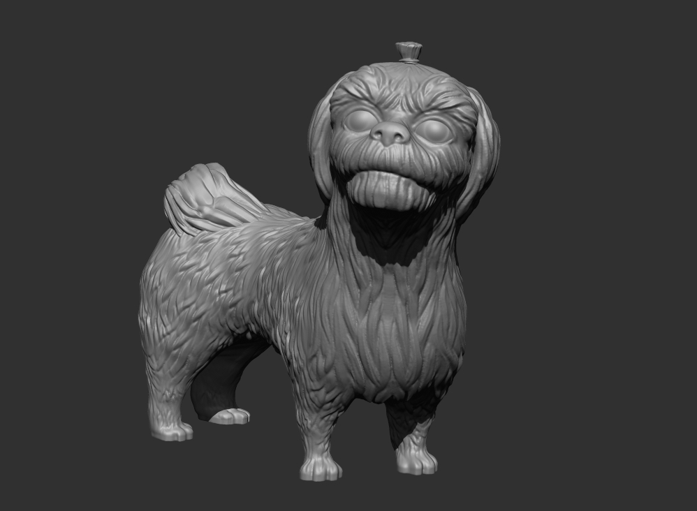 Shih-Tzu