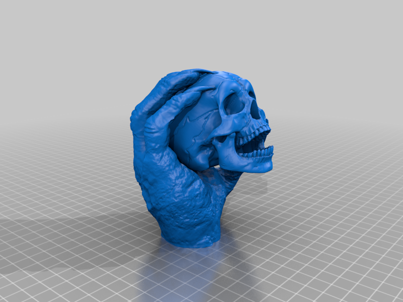 Skull in Hand