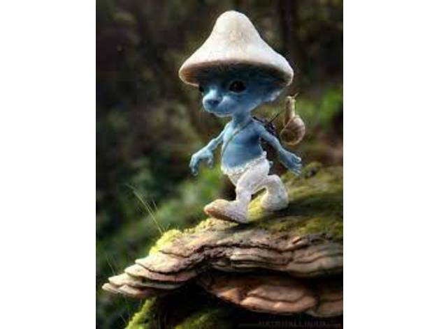 Blue Smurf Cat