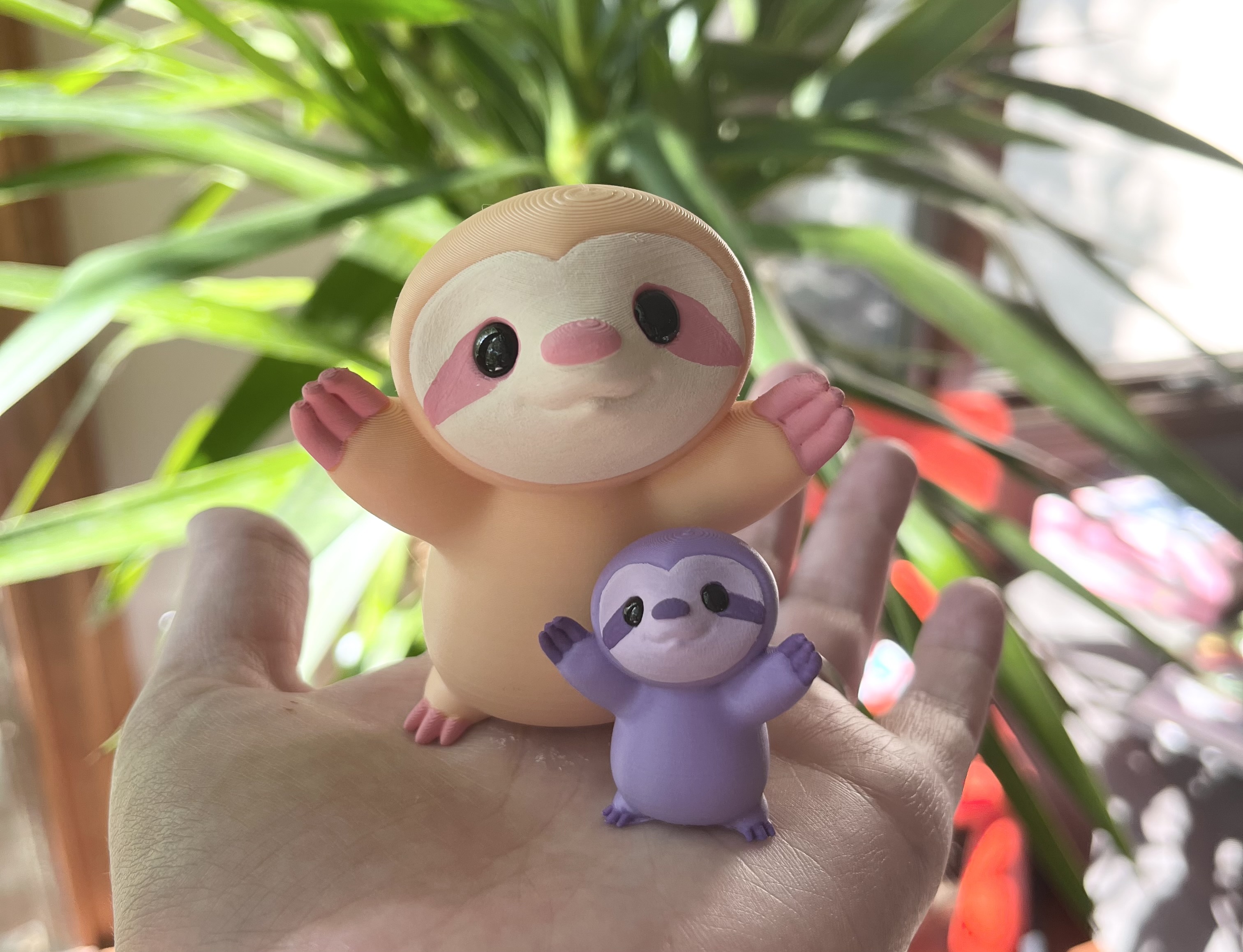 Sherbert the Sloth