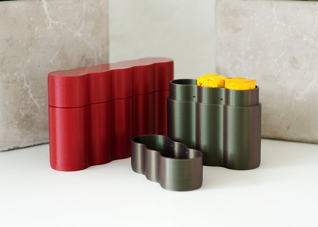 120 Film Case - 5x and 3x Versions