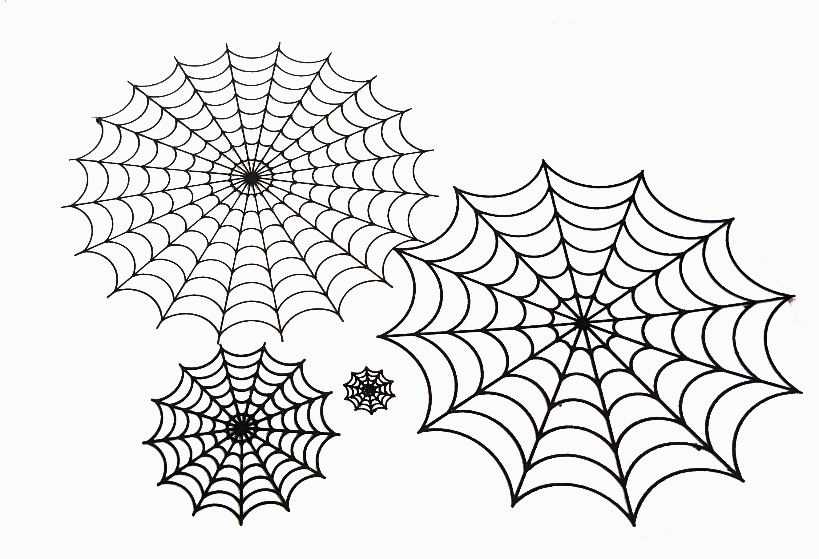 Parametric Spider Web