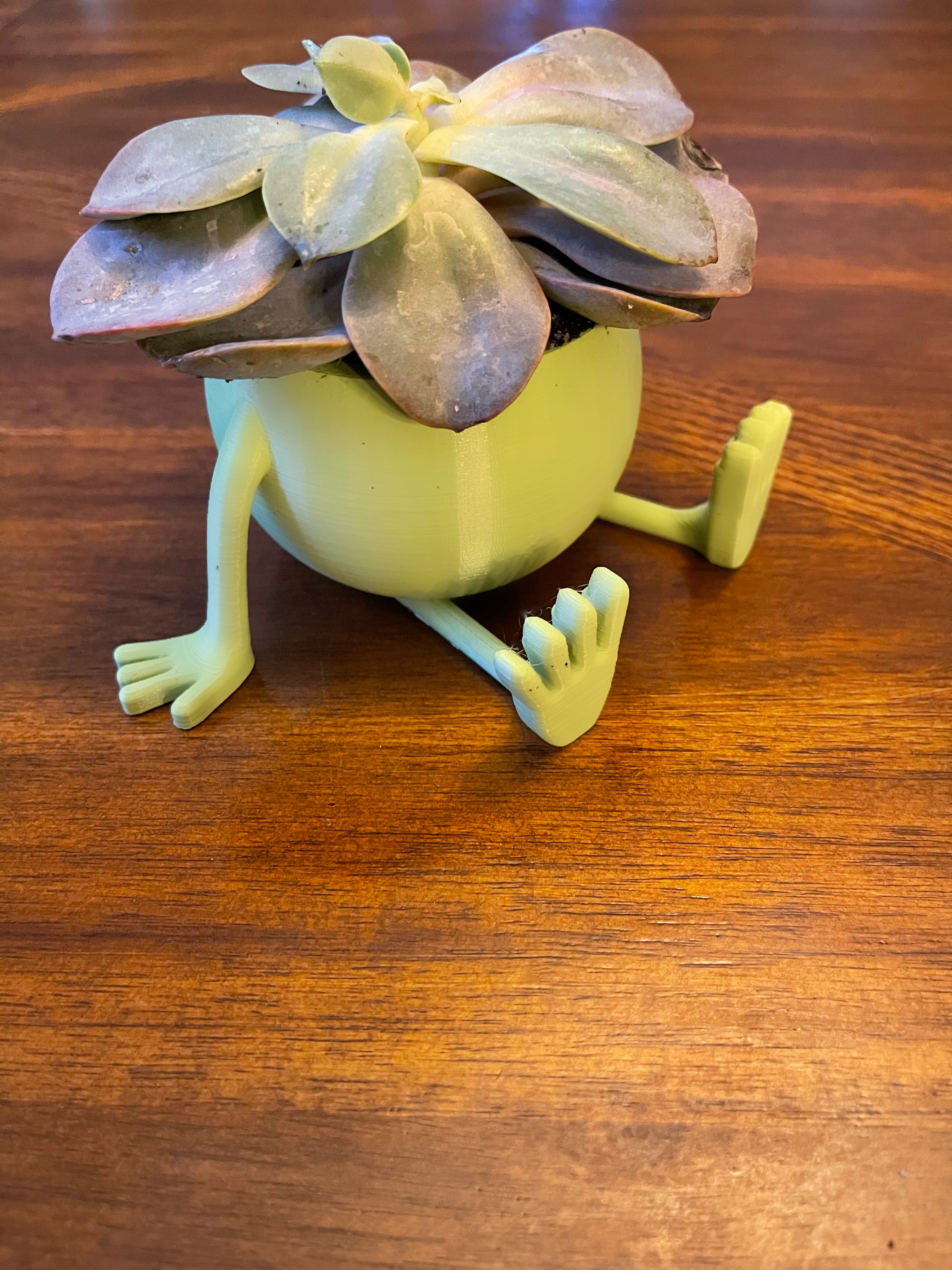 Sitting Planter