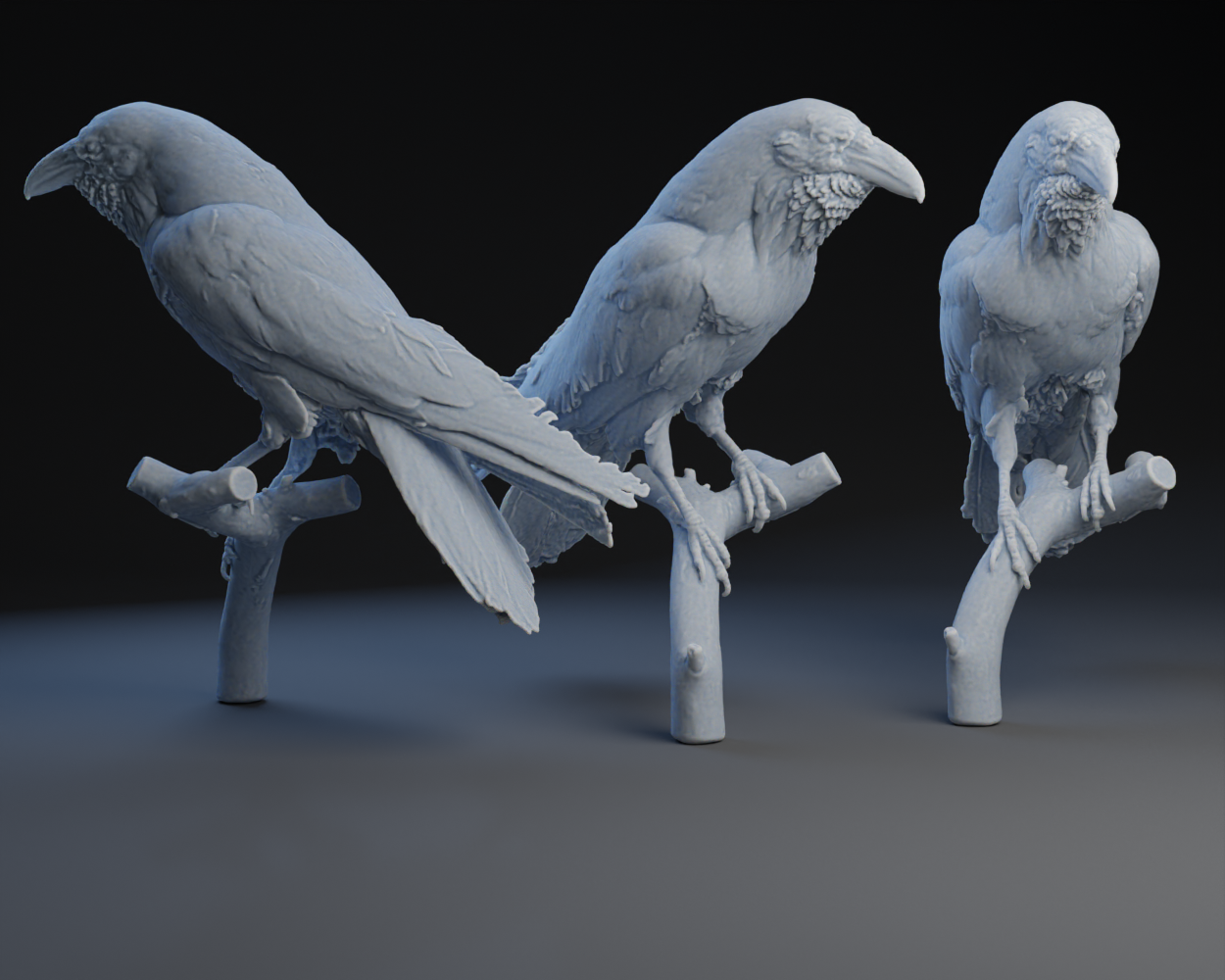 Raven: Put a bird on it 2