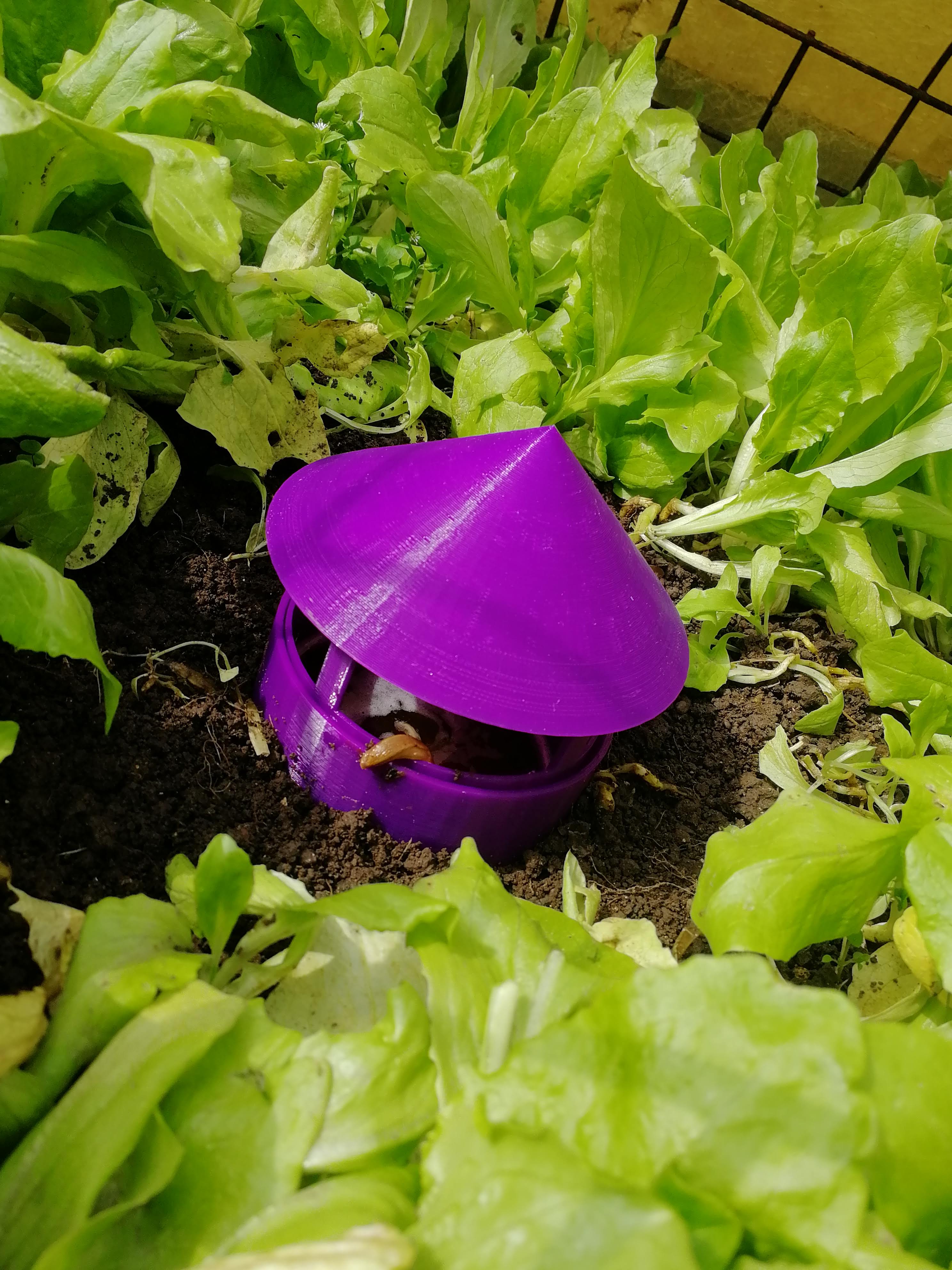 Snail and slug trap