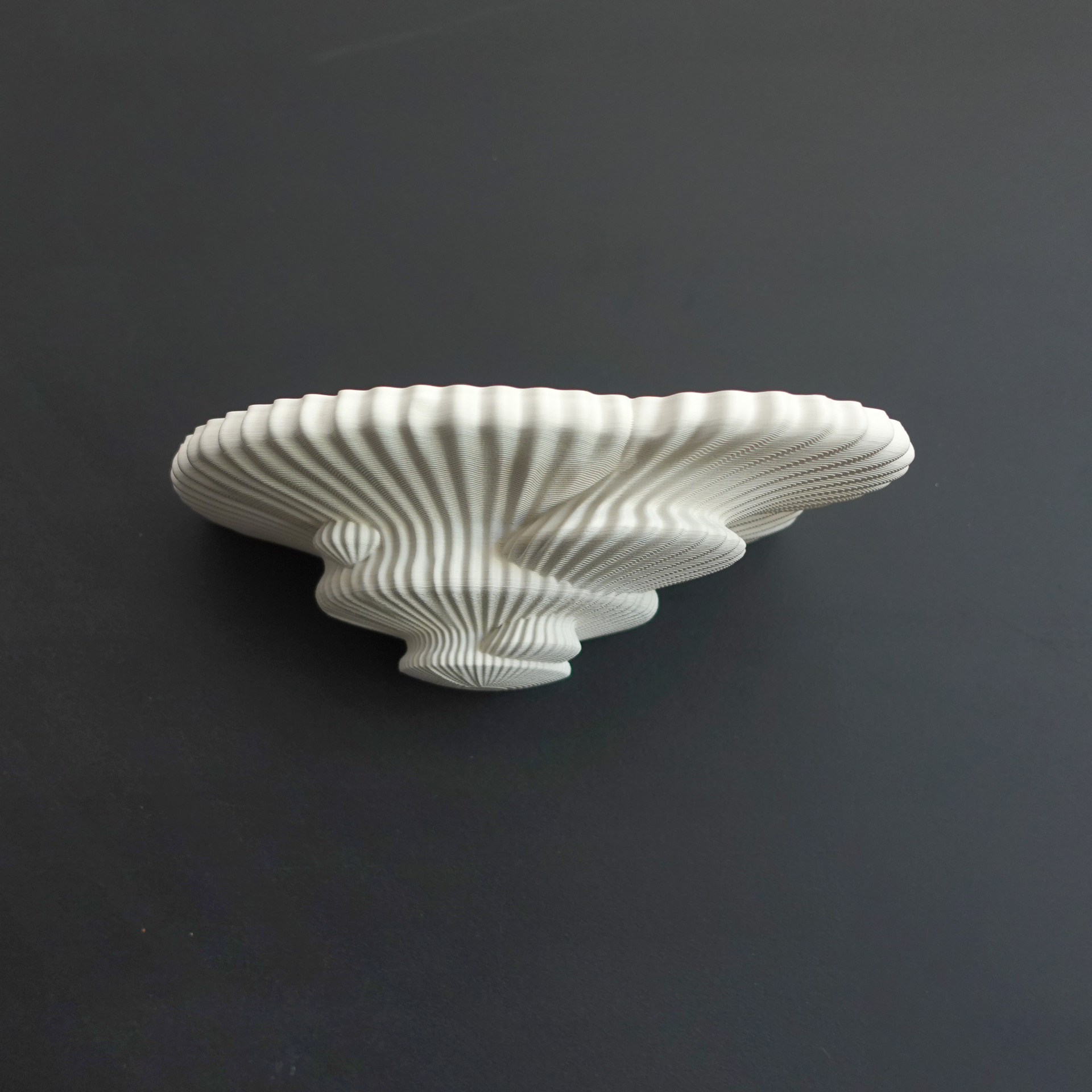 Mushroom shelf βTinderβ